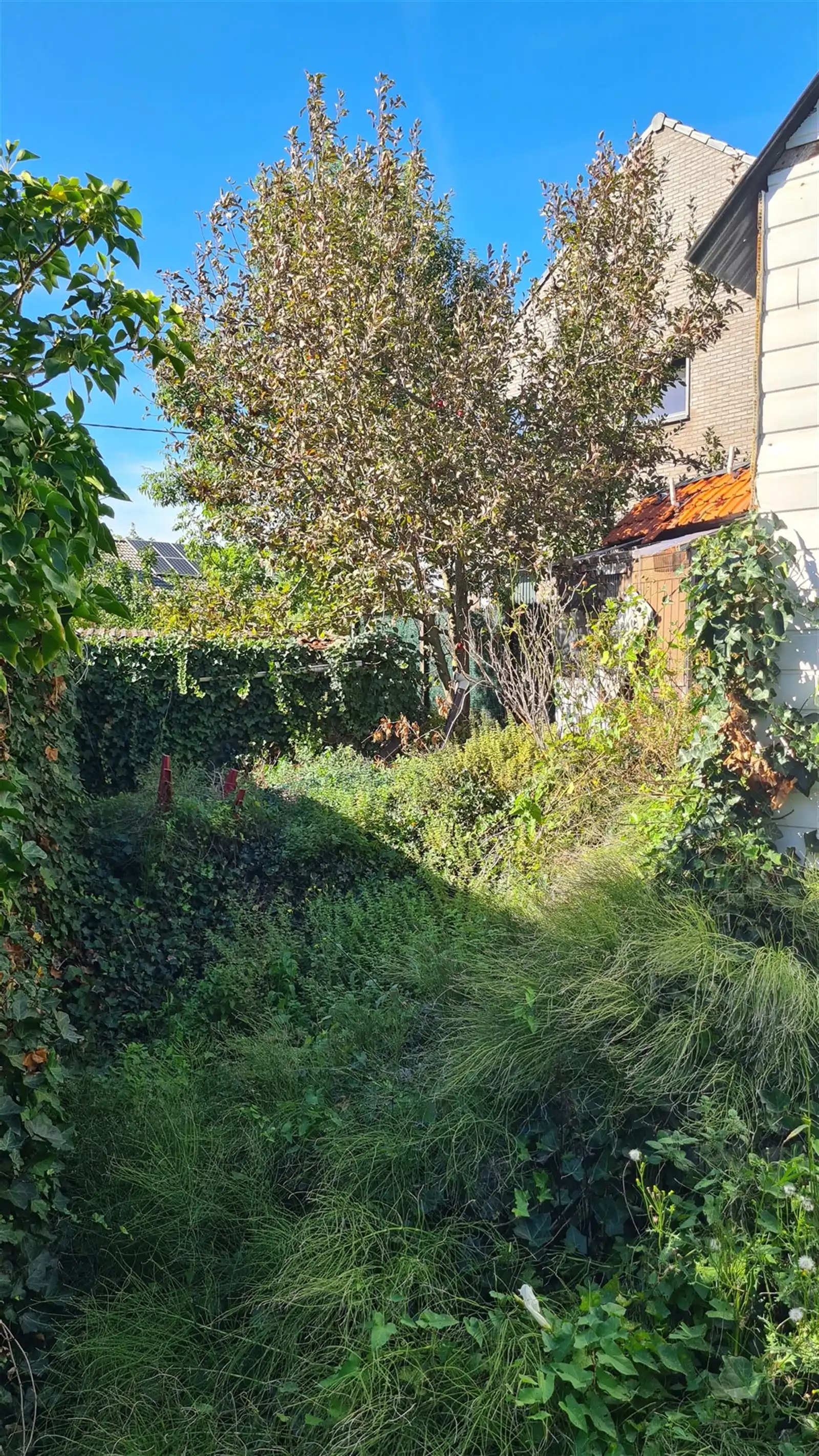 te renoveren eengezinswoning met tal van mogelijkheden foto 6