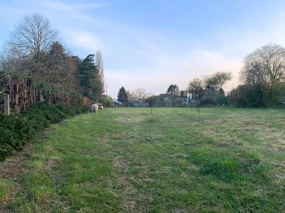 OB Bouwgrond van 19a24ca en Zuidgerichte tuin te koop in een landelijke en residentiële omgeving foto 4