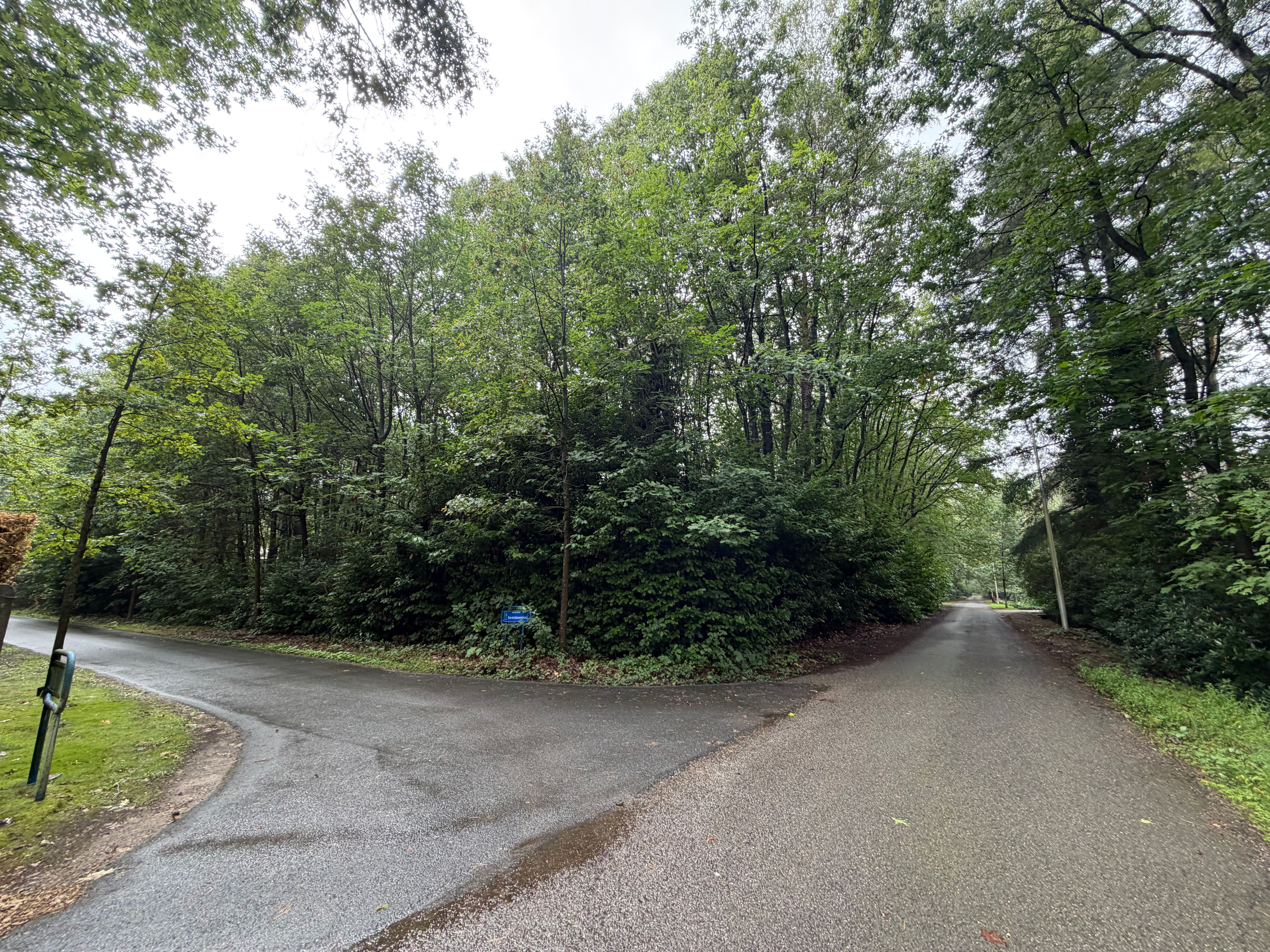 Prachtige bouwgrond 4250M2 met kleine woning erop. Oase van groen , rustig, veel privacy!