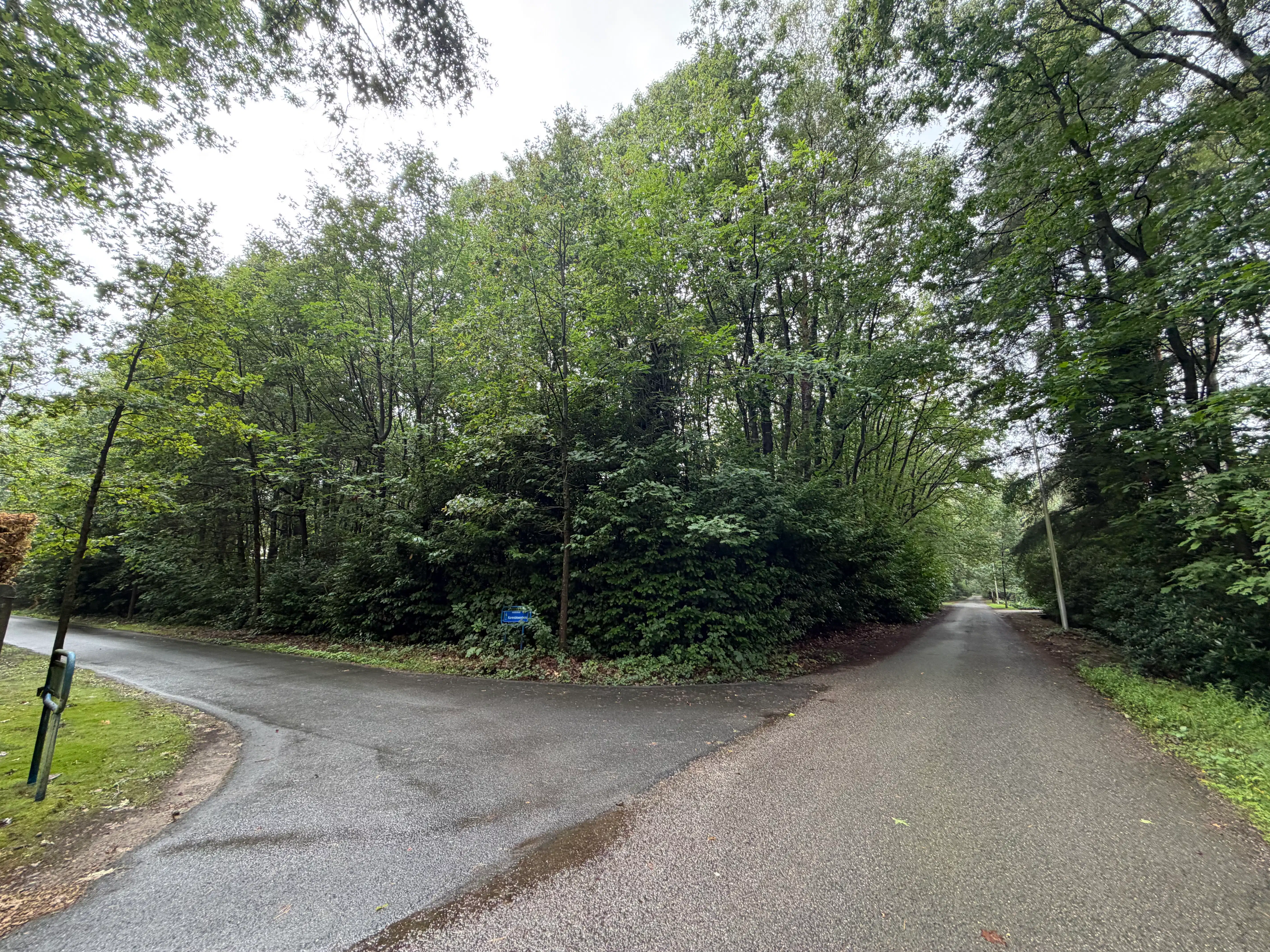 Prachtige bouwgrond 4250M2 met kleine woning erop. Oase van groen , rustig, veel privacy! foto {{pictureIndex}}