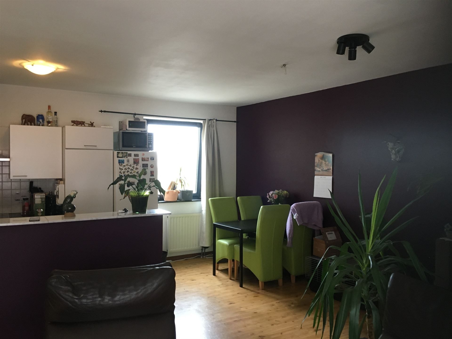 Appartement foto 4