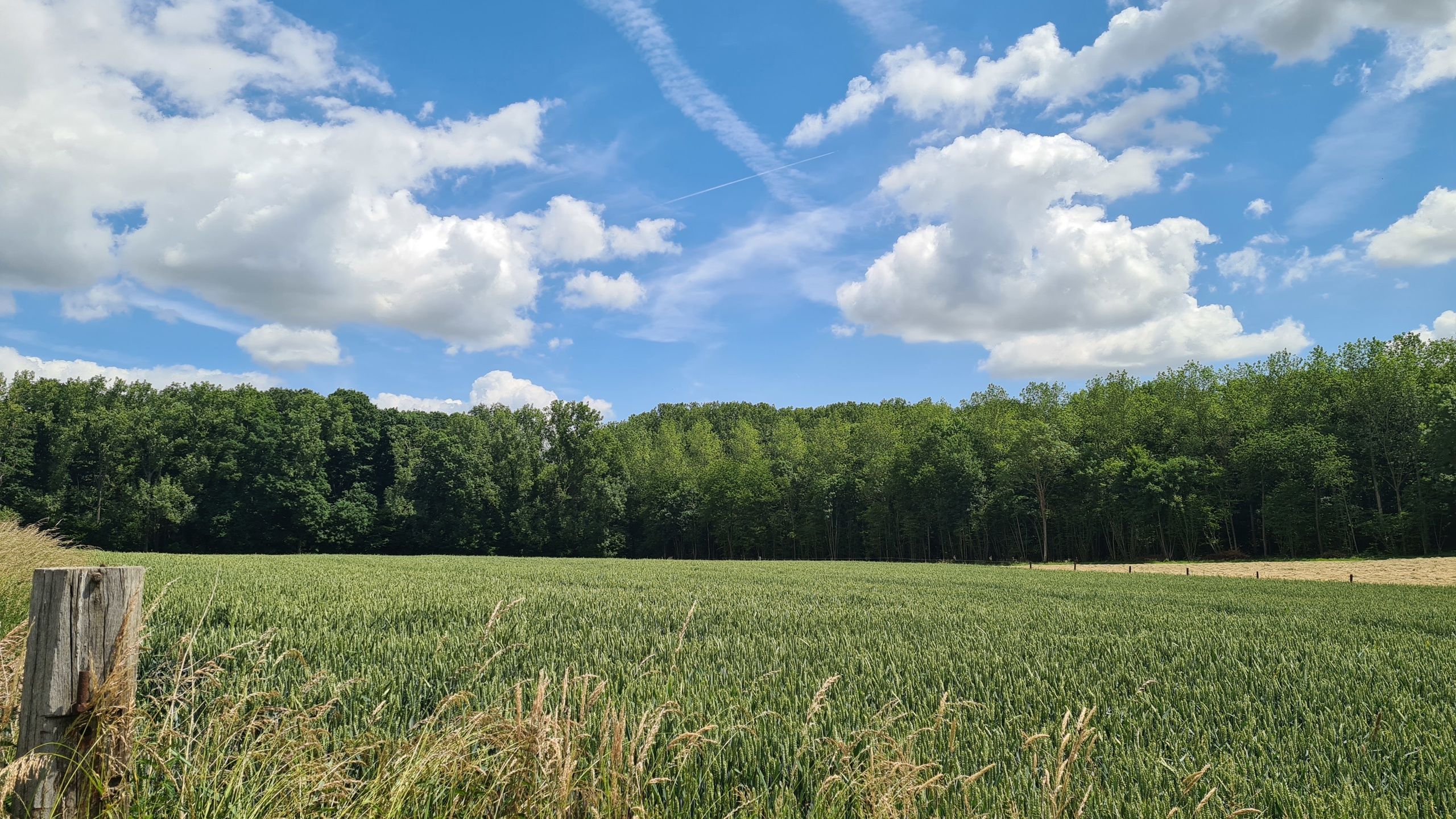 Mooie bouwgrond voor koppelwoning op 17a met prachtig zicht foto 3