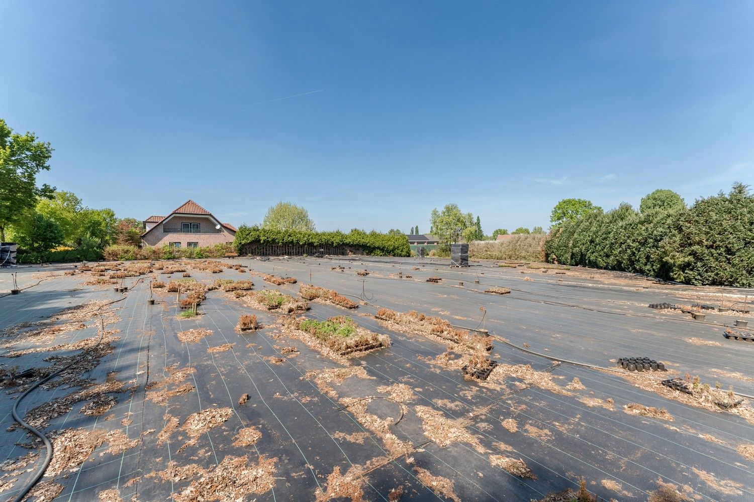 Uitgebreid Tuindersbedrijf met Woonhuis, Serres, Schermhallen en grote Bedrijfsloods op 2ha56a77! foto 21