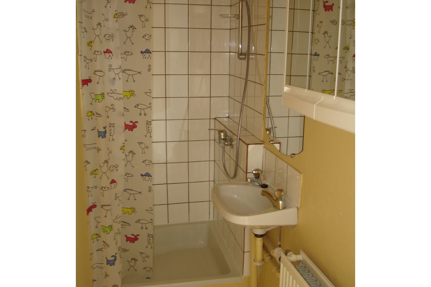 Ruime woning met 2 slaapkamers foto 6