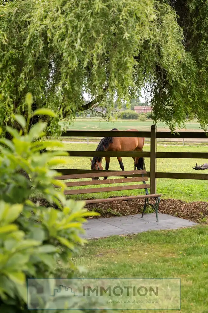 Niké's Hof - Paardenstoeterij met landelijke villa op 3,4 ha foto 28