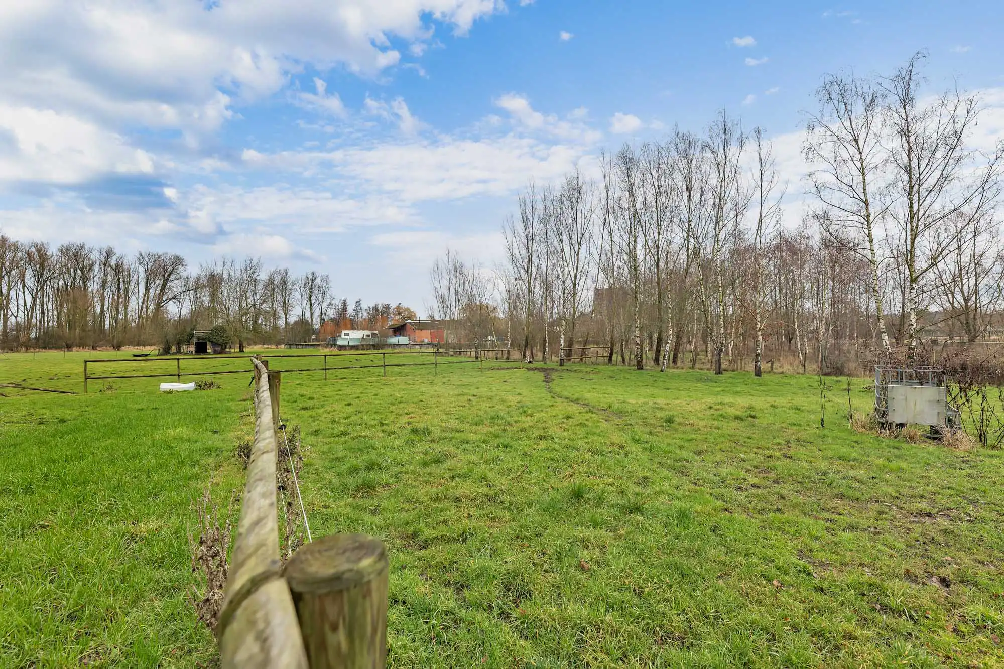 Weide met topligging op bijna 1,5ha foto 11