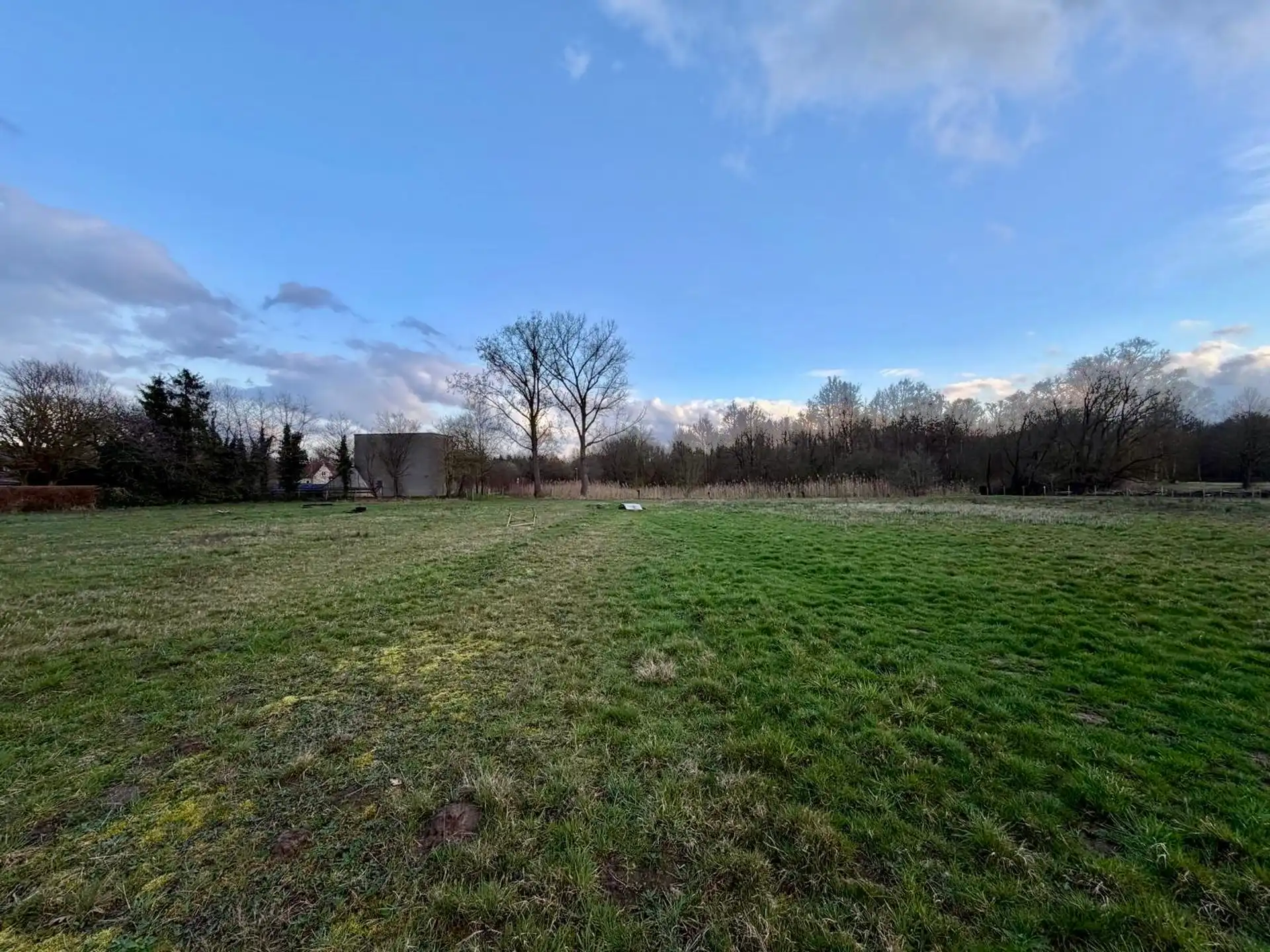 Te renoveren hoeve op een prachtig perceel te Werchter foto 6