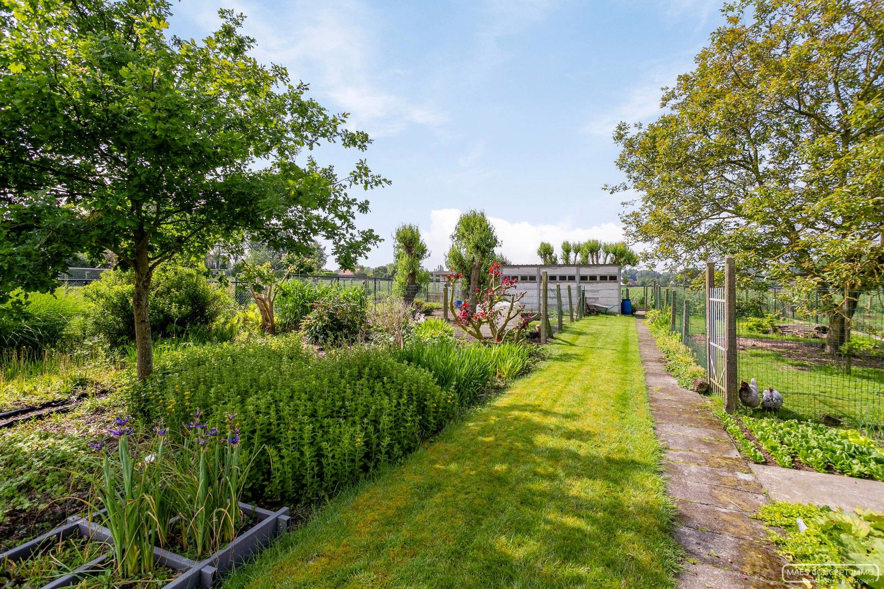 Grote woning te koop met prachtig verzicht op 1800 m2 te Anzegem foto 30