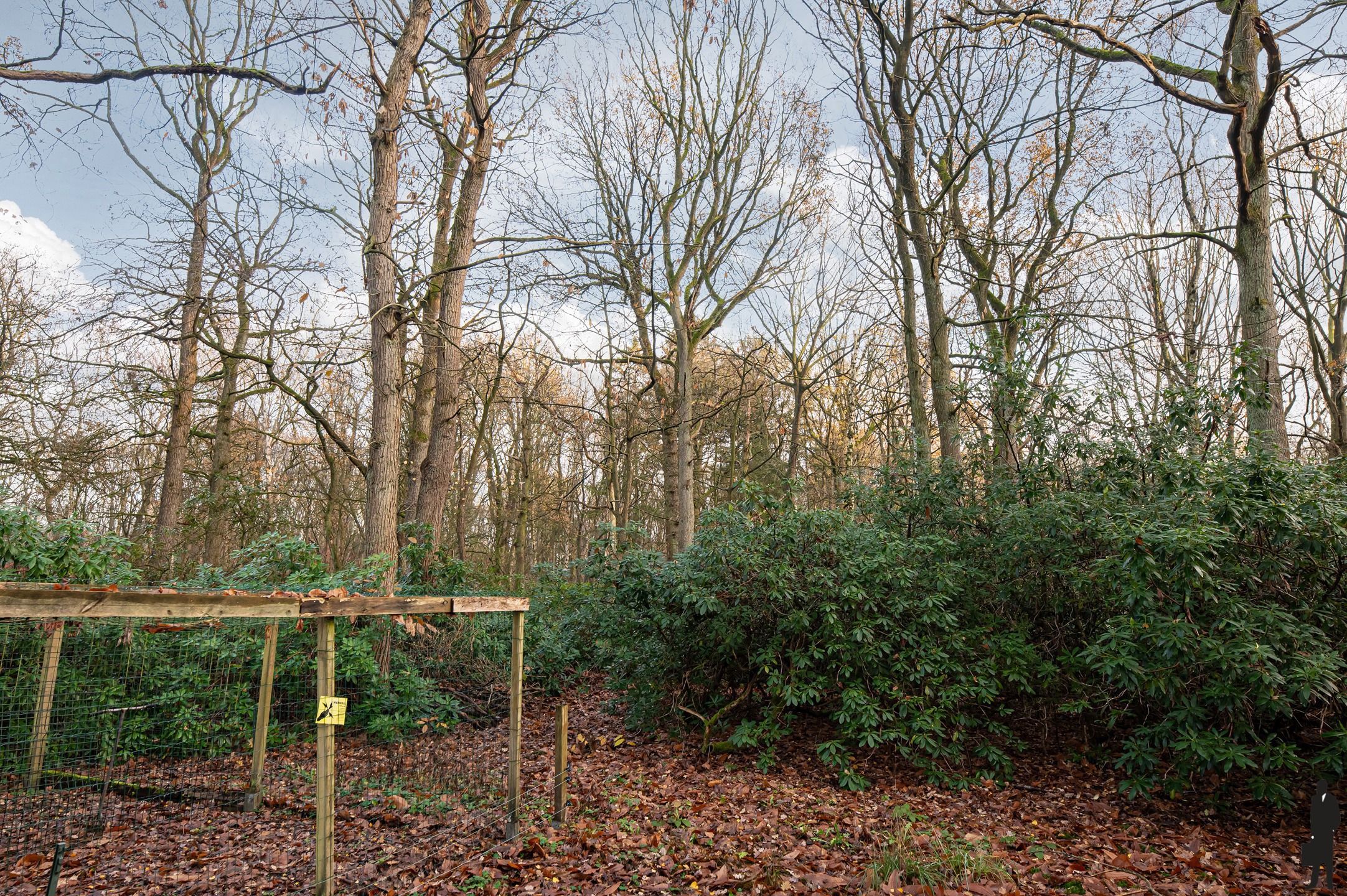 Charmante chalet uit 2006, gelegen in een rustige doodlopende straat, temidden in een prachtige groene omgeving!  foto 12