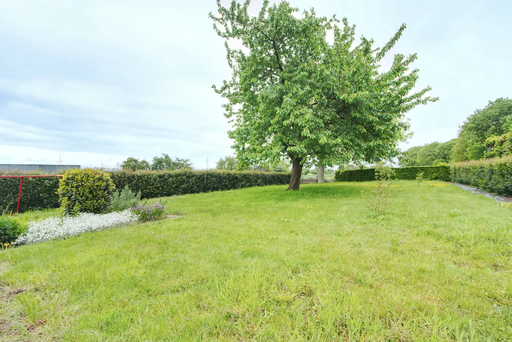 WONING - OB - 3 SLK - TERRAS - TUIN - GARAGE  foto 10