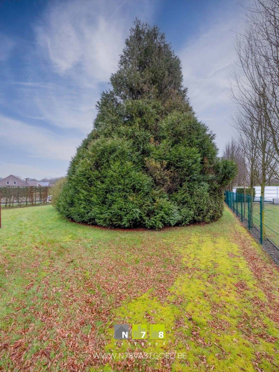 Huis te koop foto 23