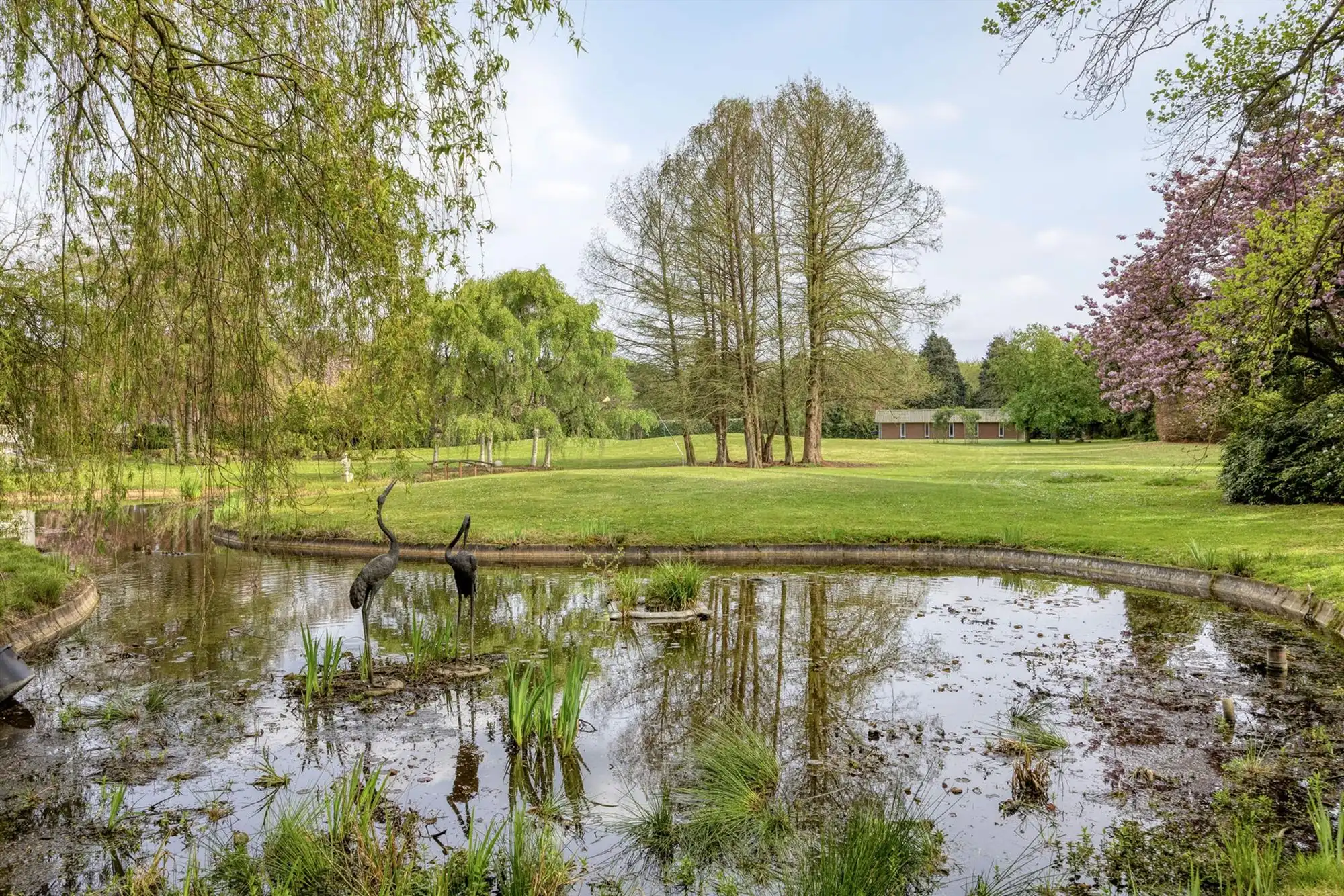 Exclusief landgoed met allure op parkdomein in Pelt foto 98