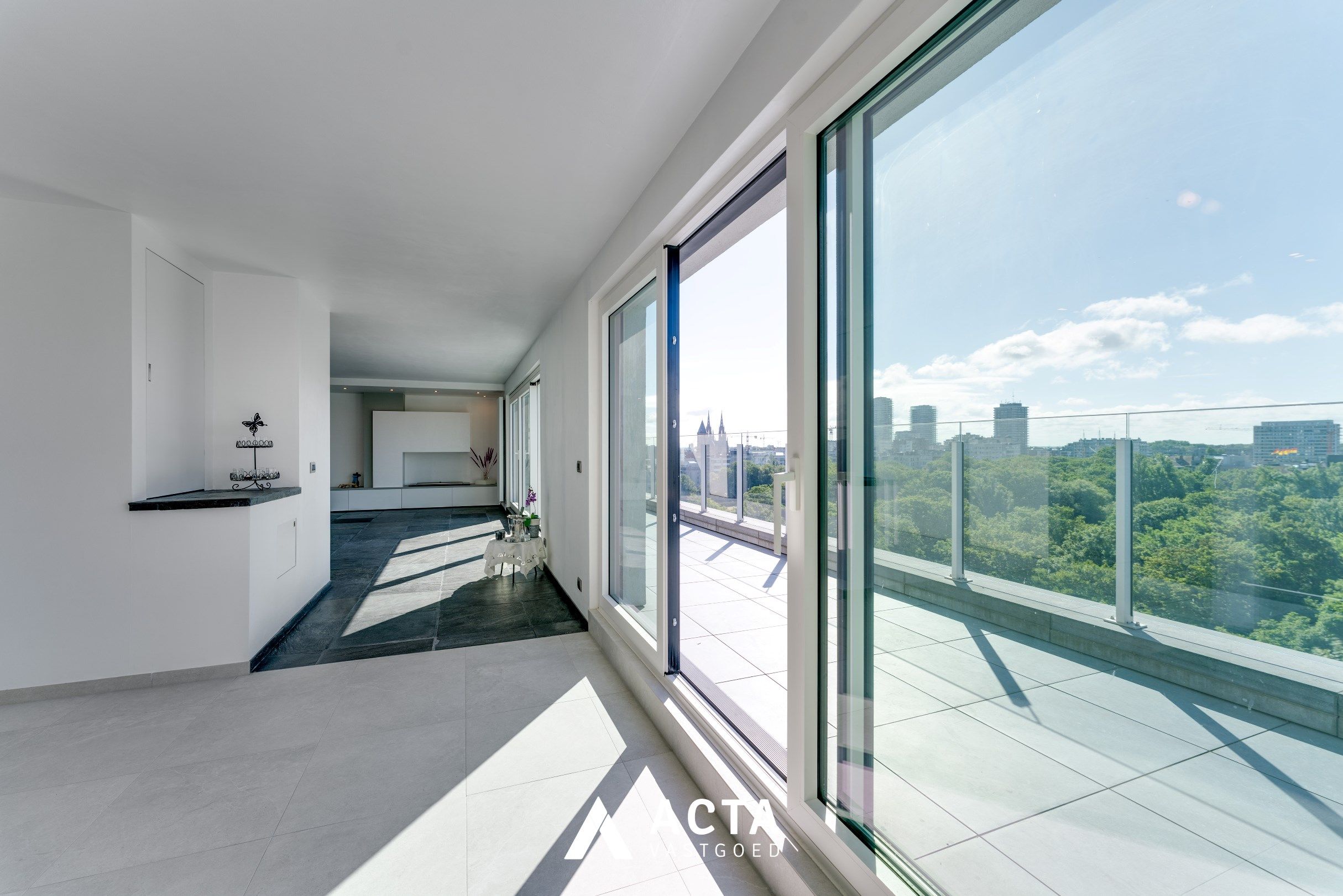 Gerenoveerde penthouse met drie slaapkamers aan het Leopoldpark foto 7