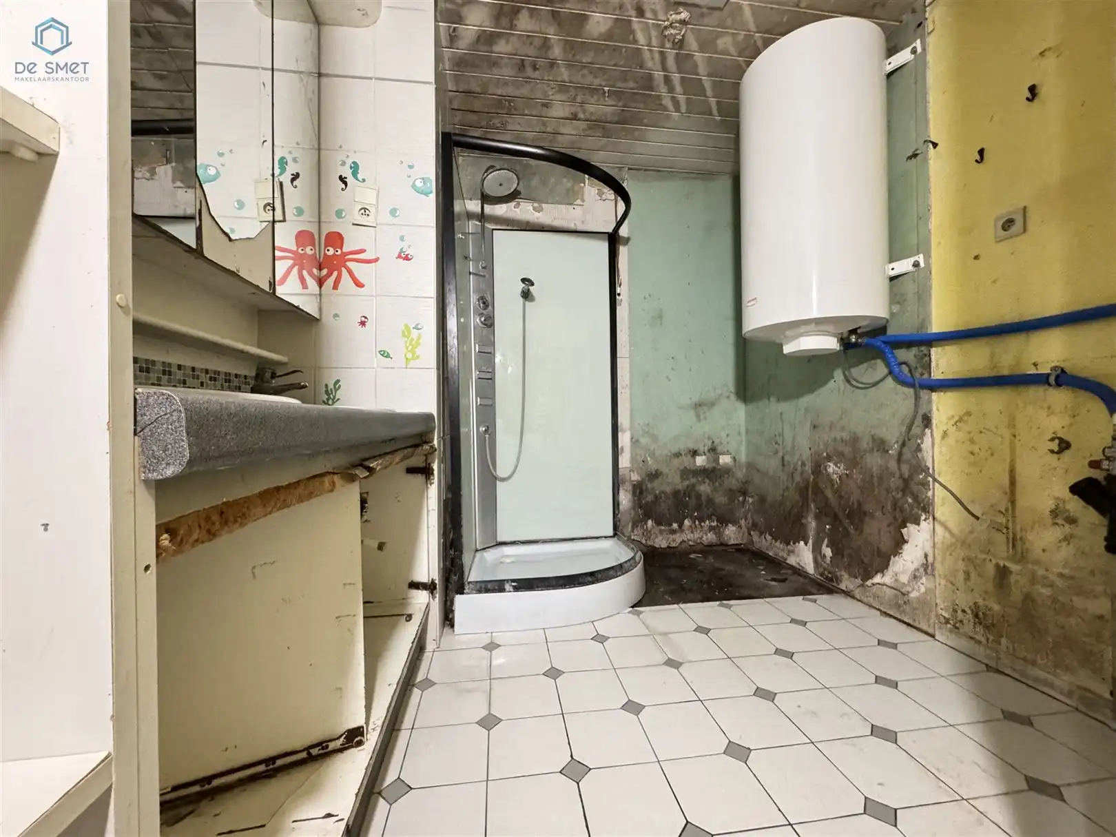 Verrassend ruime te verbouwen woning foto 9