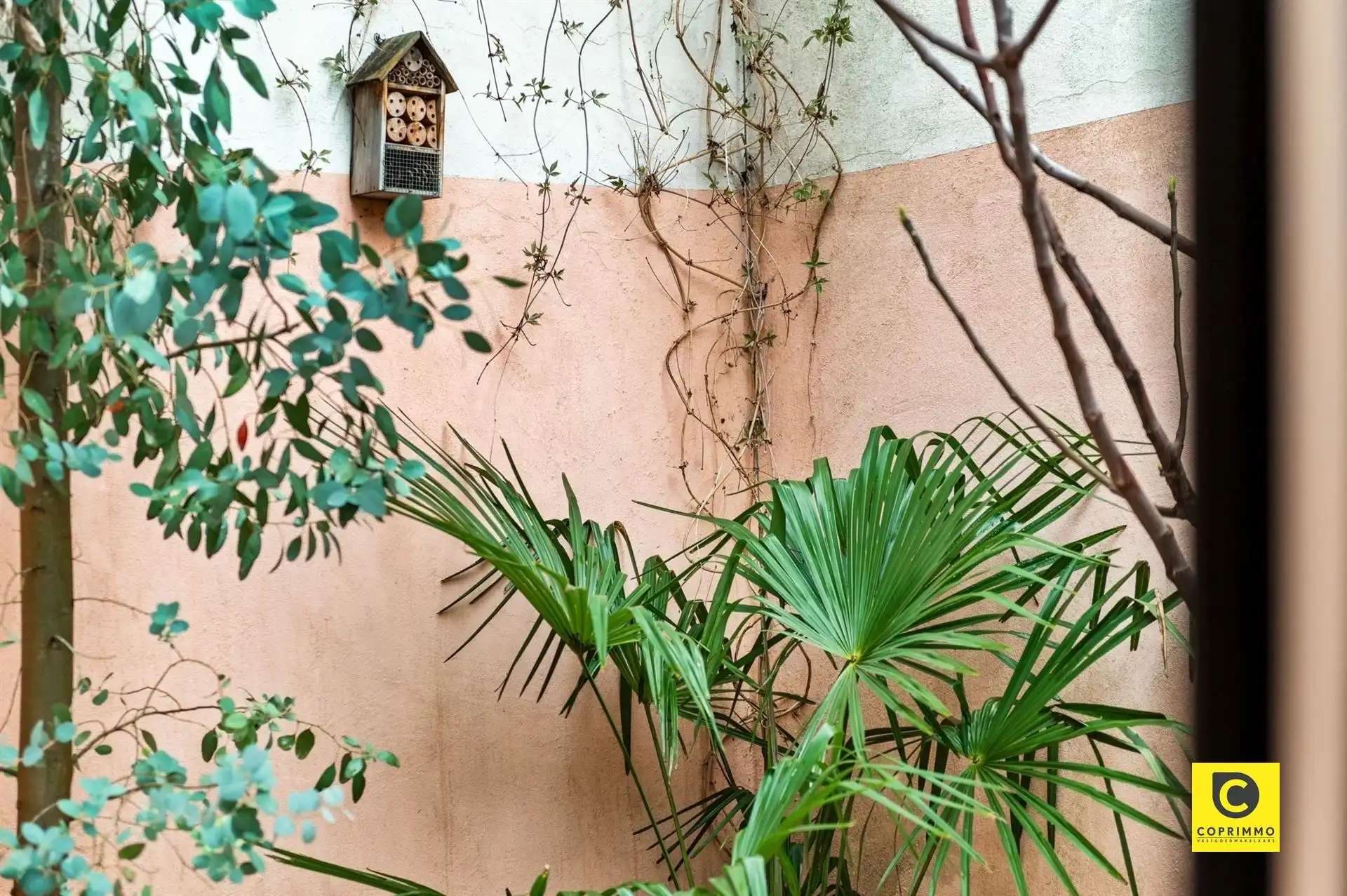 Gerenoveerde 3 slpk woning met stadstuin foto 6