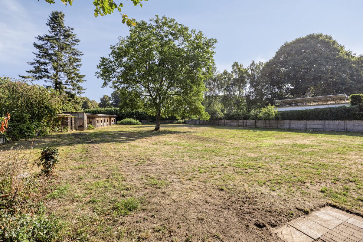 te renoveren huis op een perceel van 2445m² te koop in Geel foto 5