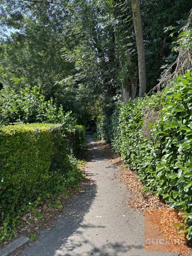 Slim wonen in stijl: volledig gerenoveerde woning in het groene Borchtlombeek foto 29