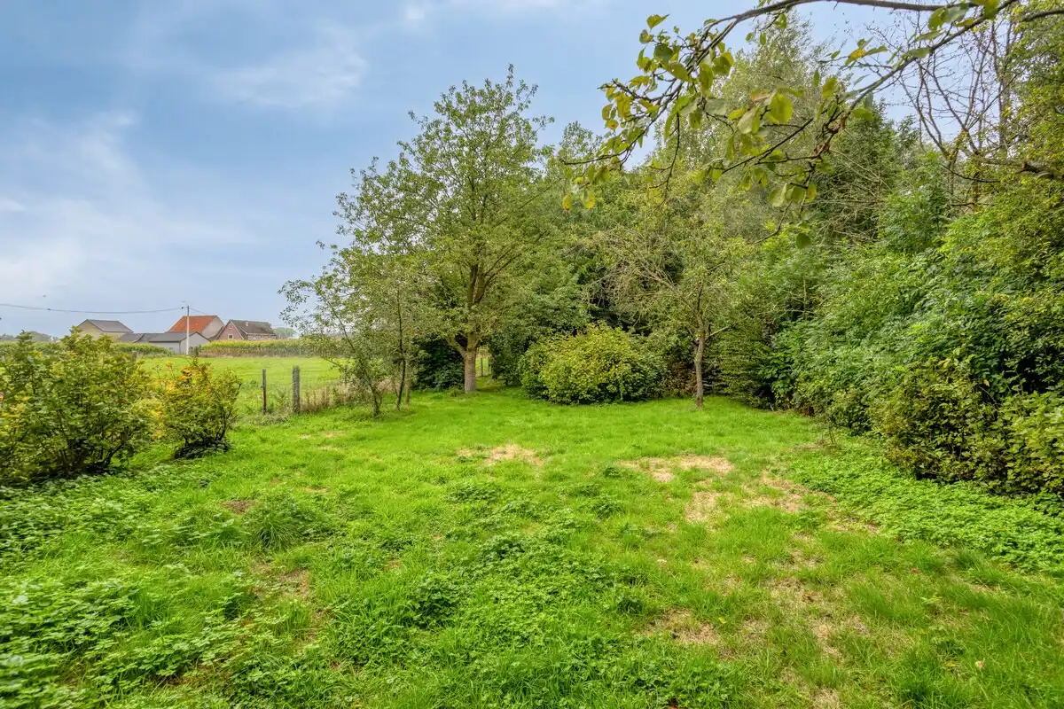 Ruime woning met boomgaard nabij centrum Lennik foto 18