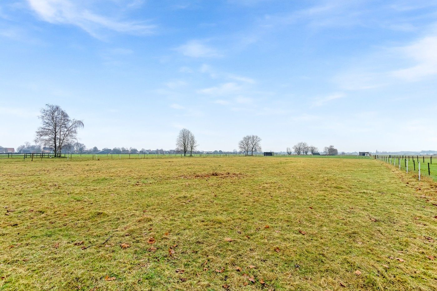 Mooi stuk weiland met 4 paardenstallen van 4570m²  te koop in Hoevenen foto 3