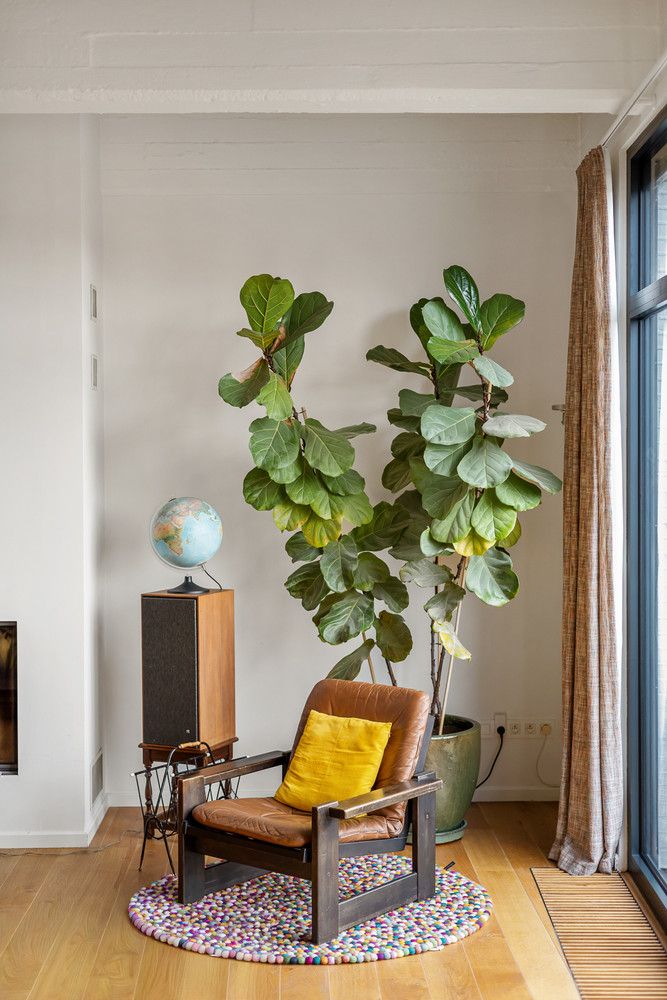 Uitzonderlijke loft 200m² + aangelegde daktuin, terras en 2 optionele garages in rustig, groen woonerf op de grens Borgerhout/Antwerpen foto 6