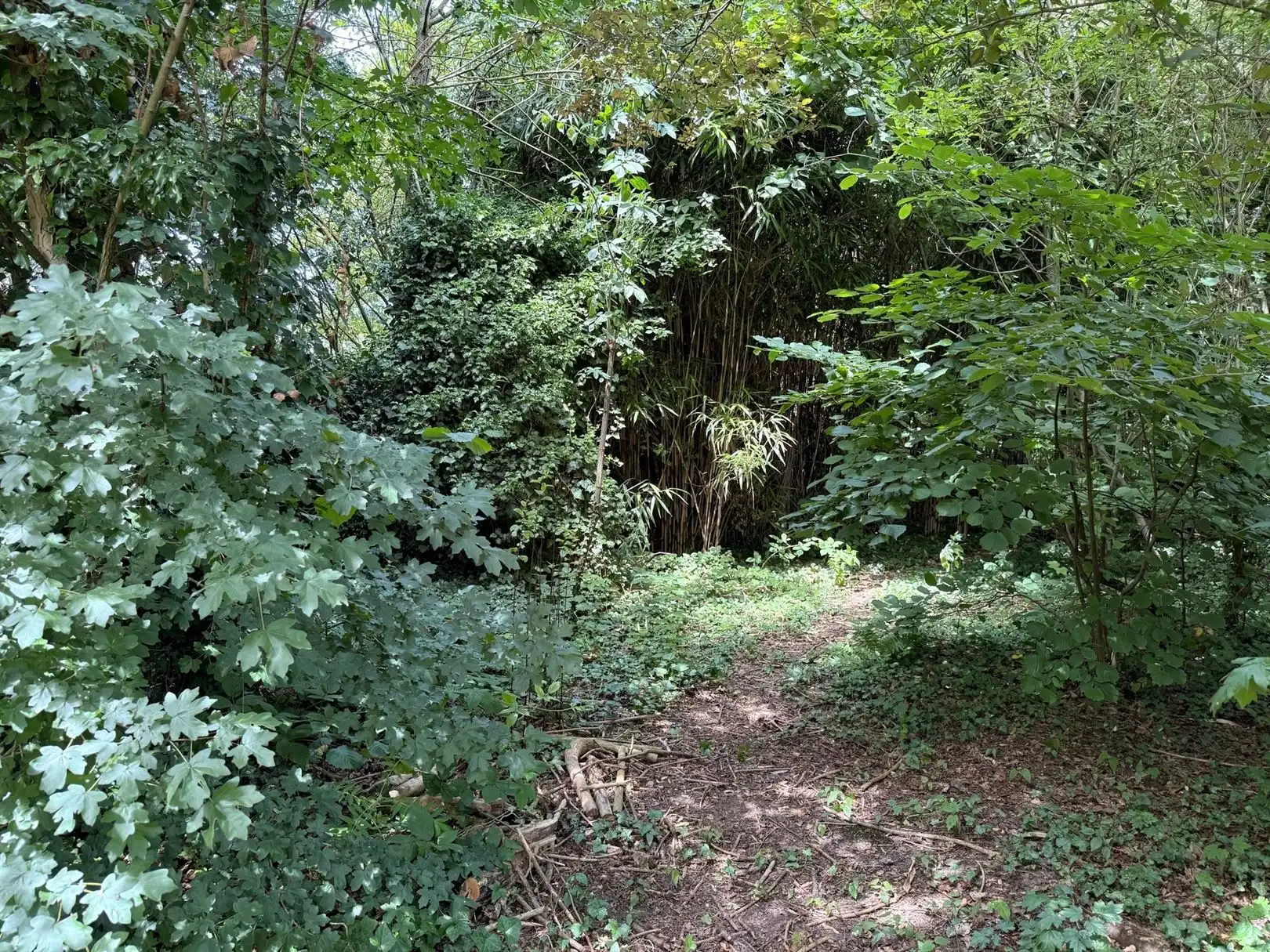 Villa foto 23