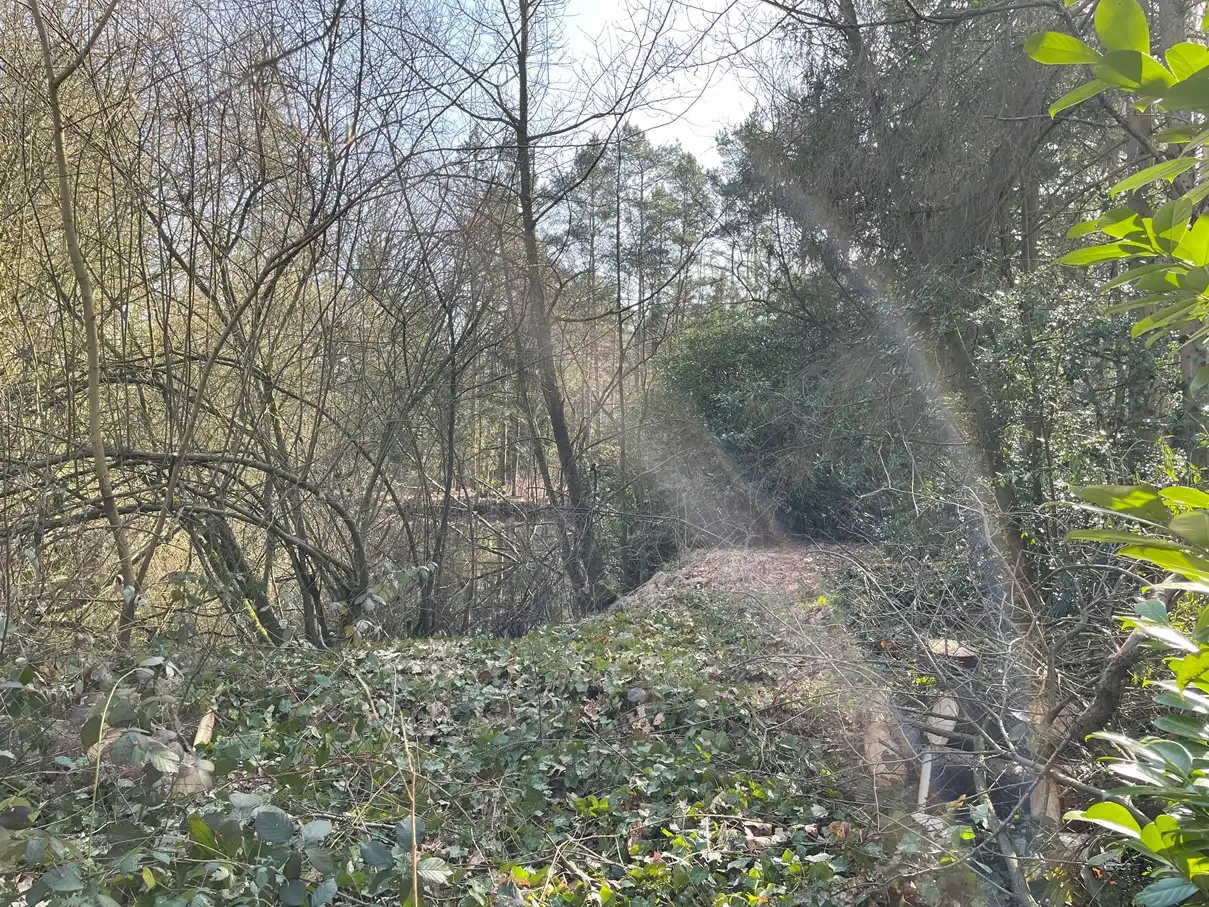 Verblijfsrecreatie met vijver foto 4