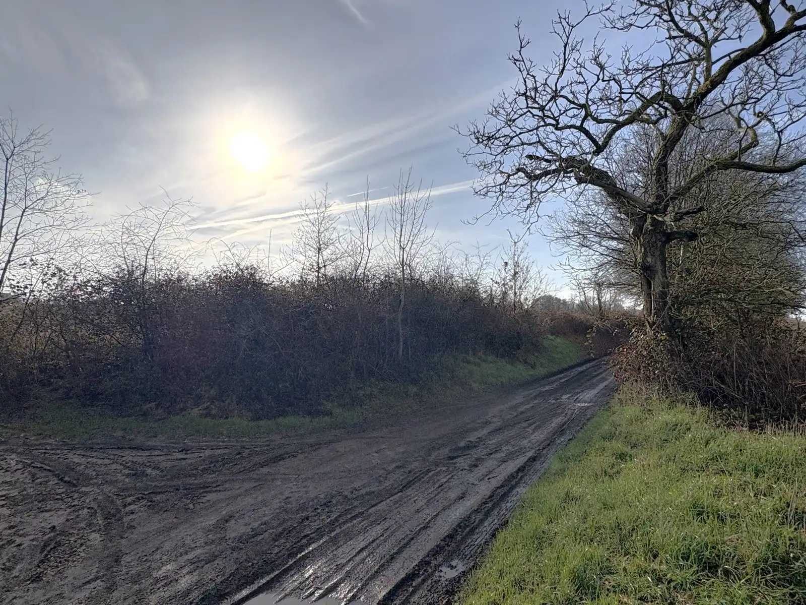 Grote landbouwgrond  foto 5