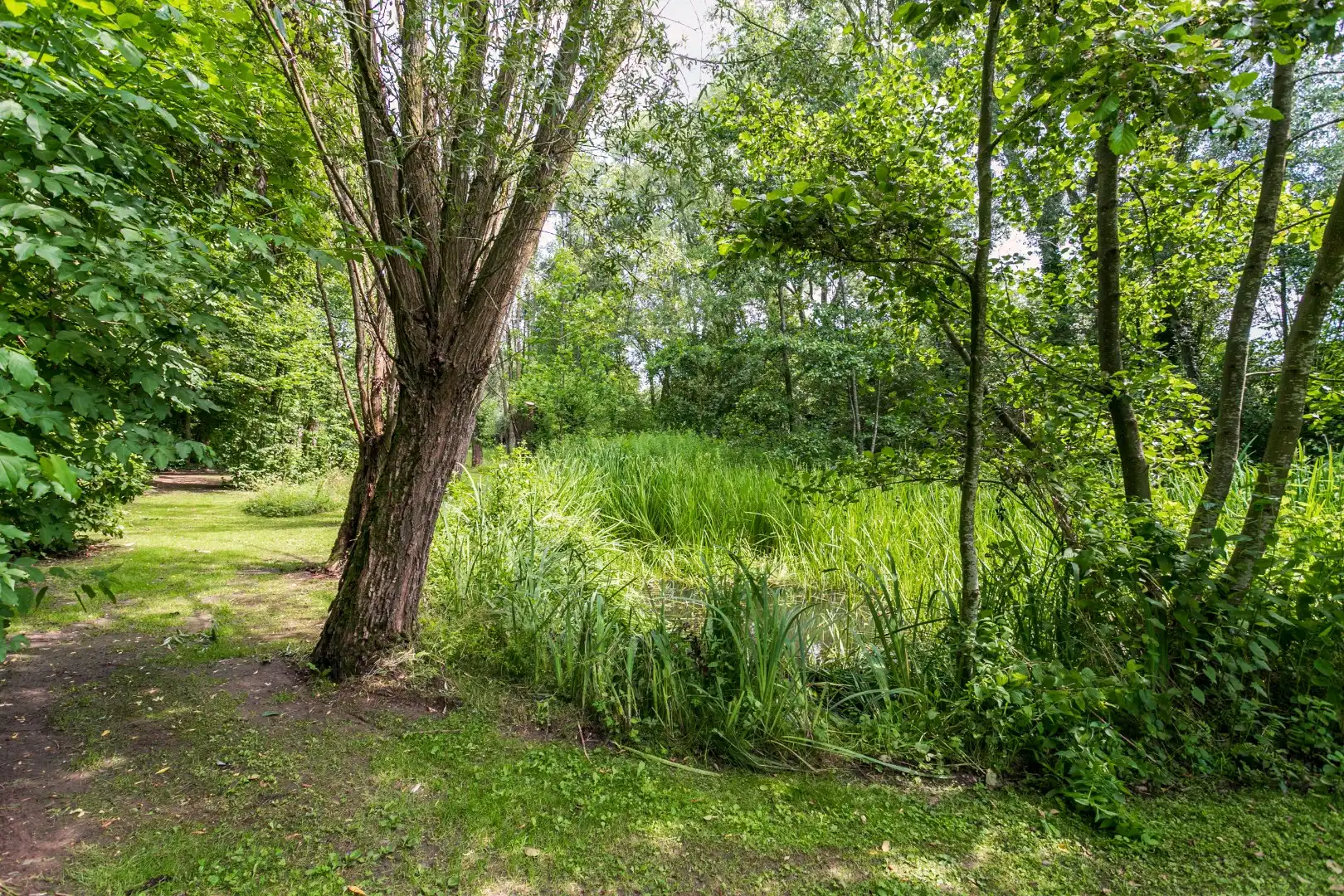 Ruime woning gelegen in een groene omgeving foto 17