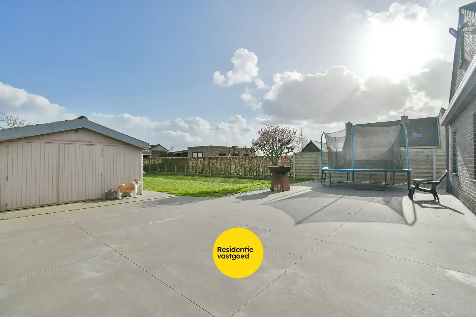 KIJKDAG zaterdag 28 maart van 15u tot 17u, op afspraak! foto 16