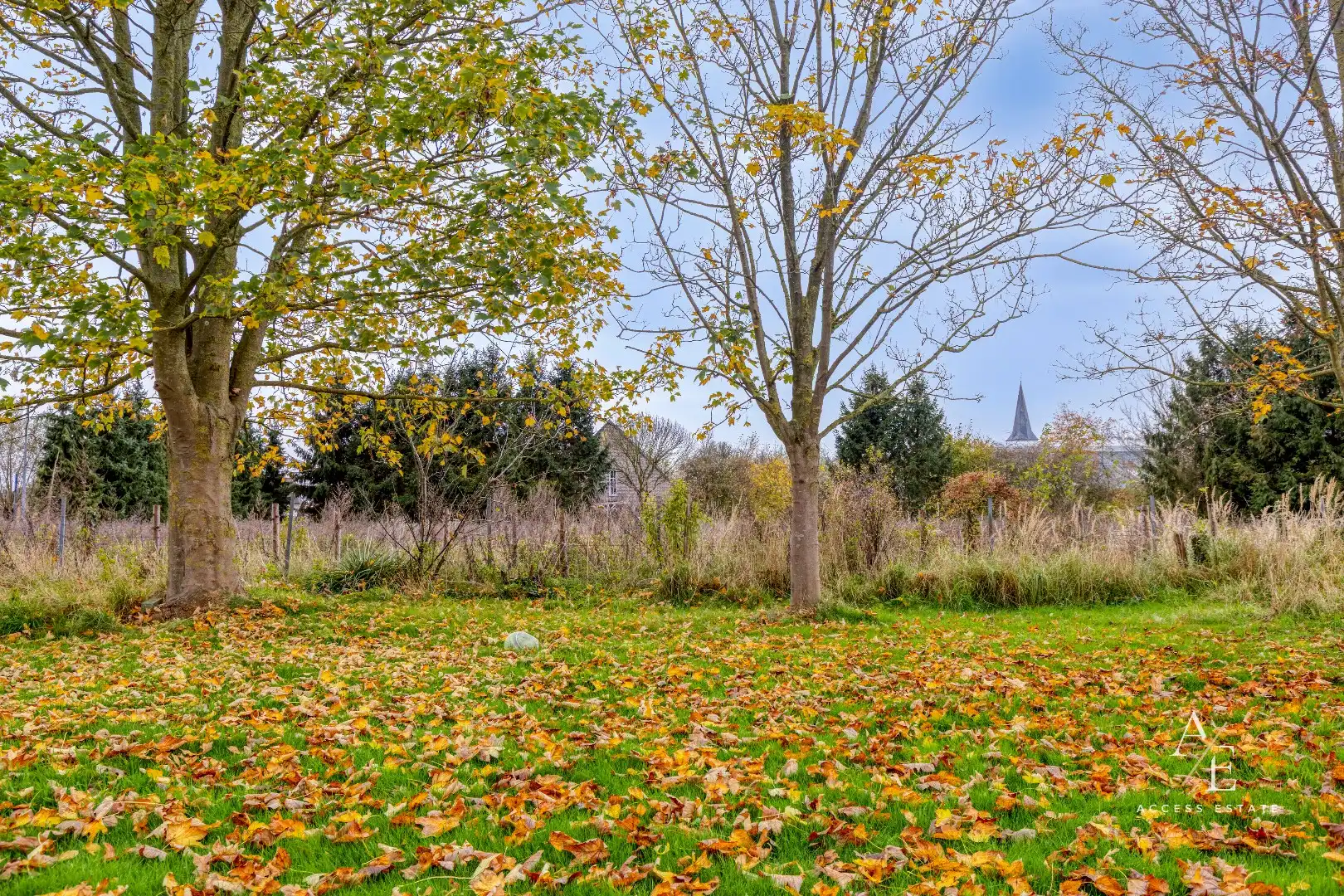 SCHELLEBELLE Exclusieve bouwgrond - HOB - LOT 1 foto 4