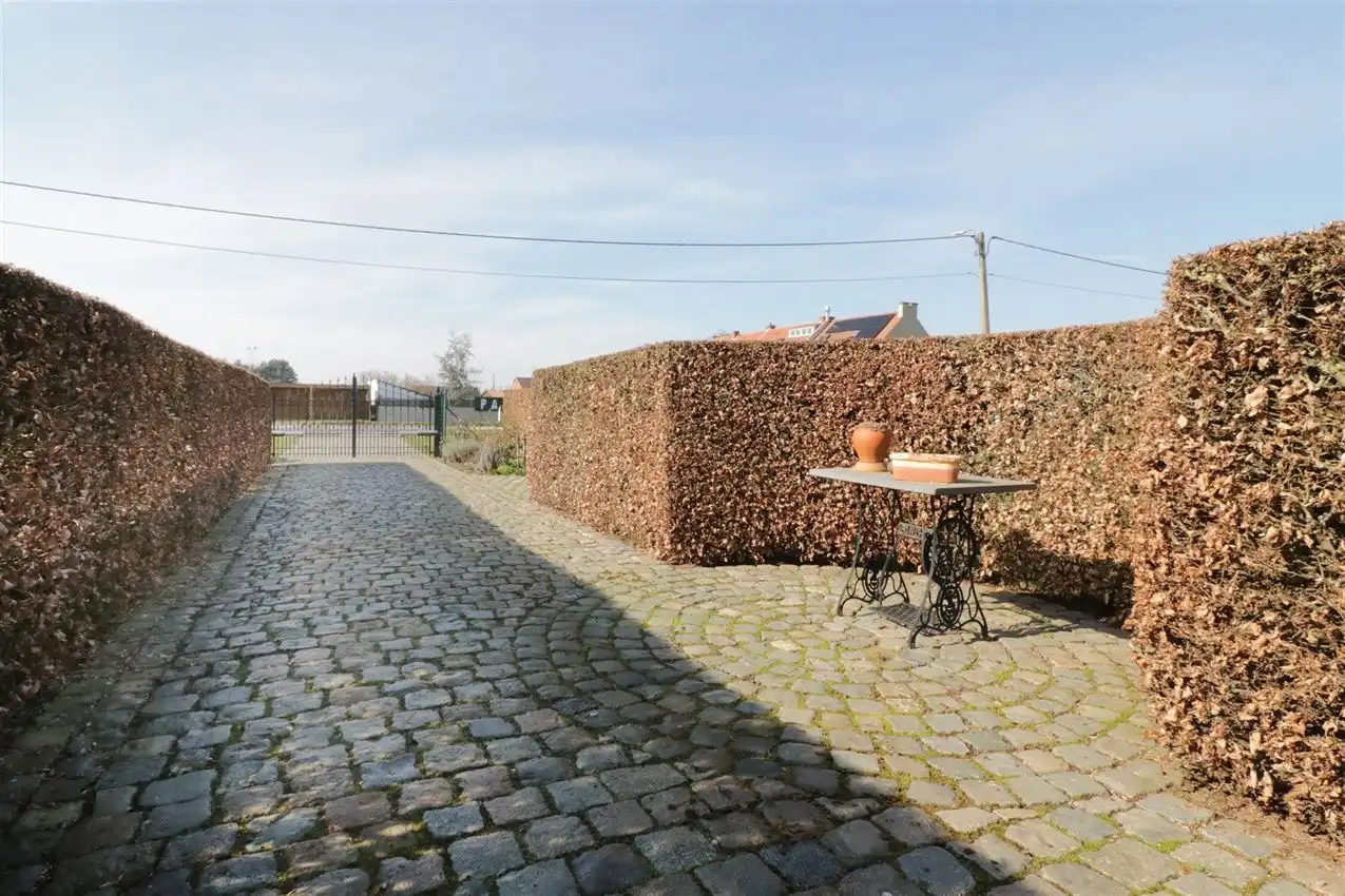 groene omgeving,  klein weiland, zichtbaarheid foto 3