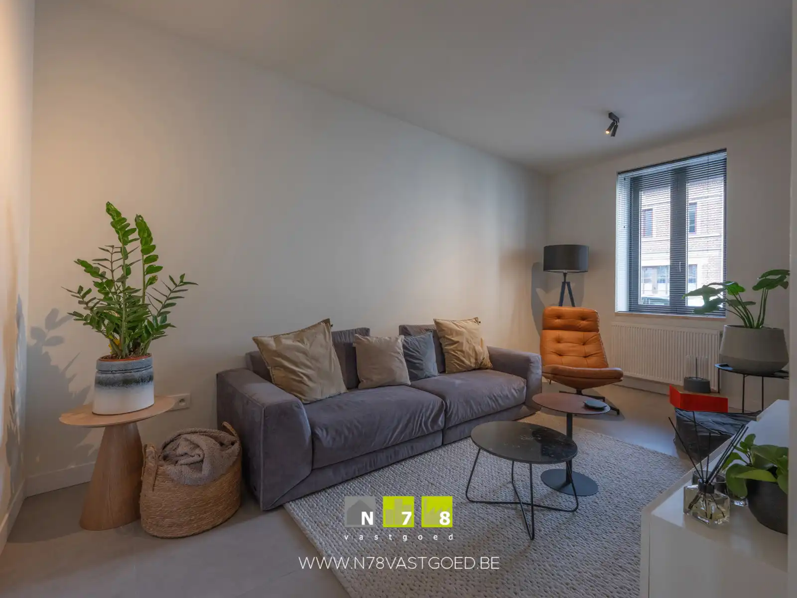Huis te koop foto 4