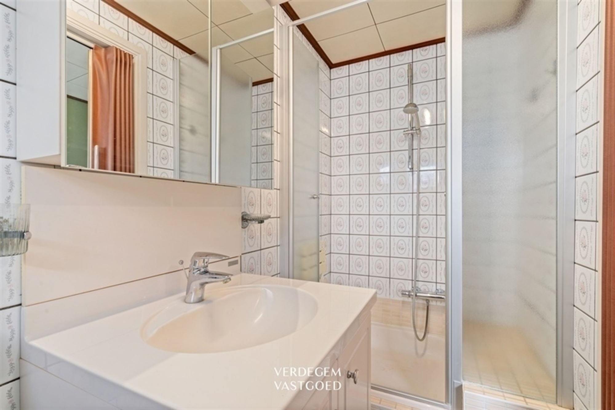 Ruim wonen in een ondernemende omgeving, tussen kanaal en nieuw groen - te renoveren foto 9