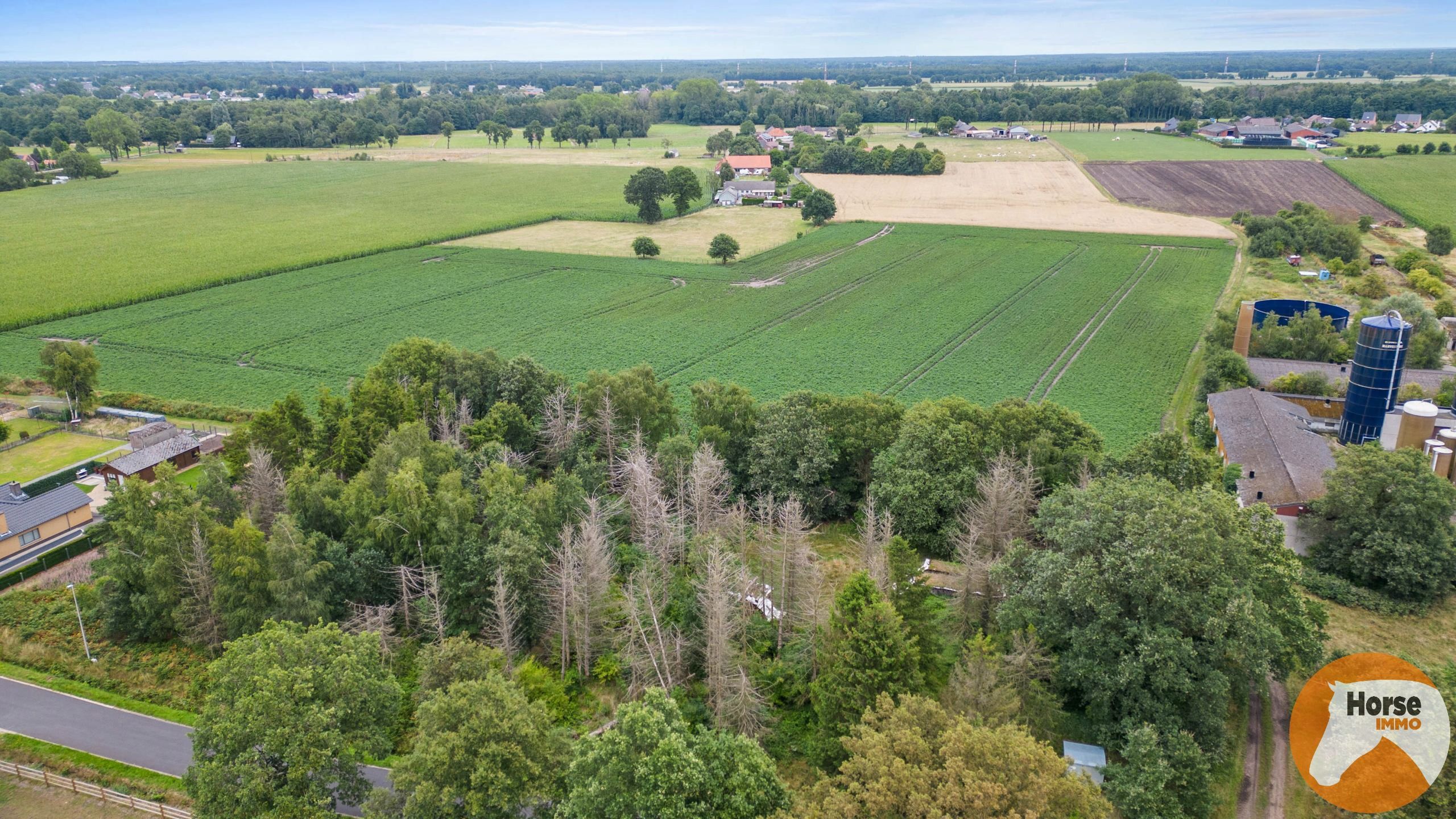 OUDSBERGEN - Grond voor woning met stalgebouw op 2ha70 foto 4