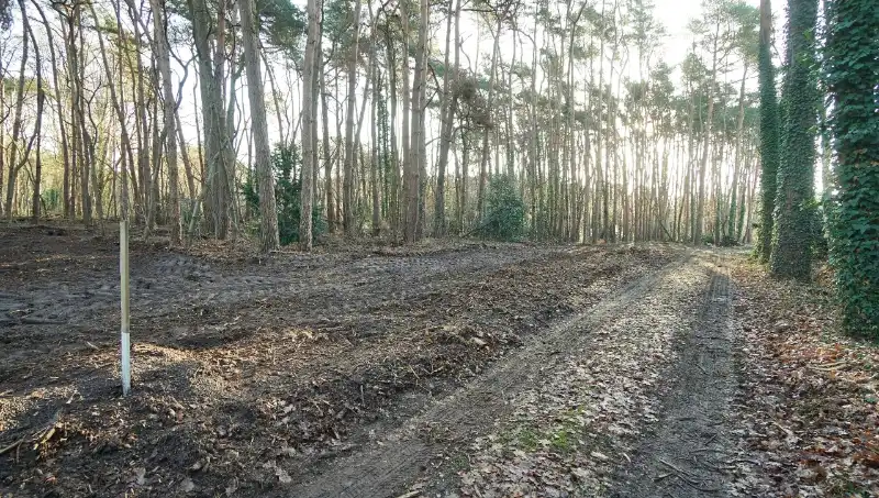 Residentieel gelegen bouwgrond van 31 are met 37 are bosgrond nabij golf- en meerdomein foto 3