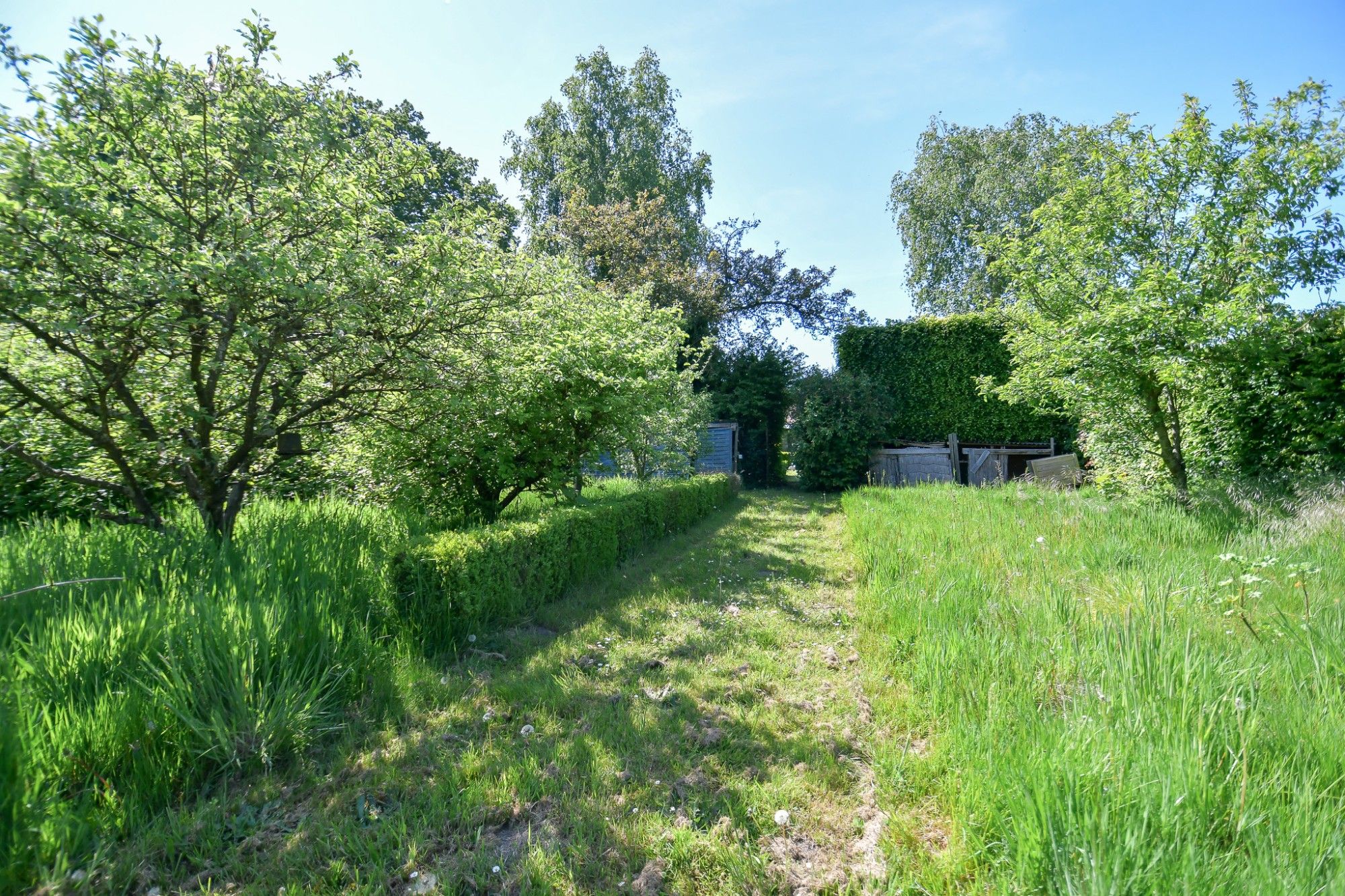 Woning en bijgebouw met prachtige idyllische tuin en uitweg op 2034 m² foto 22