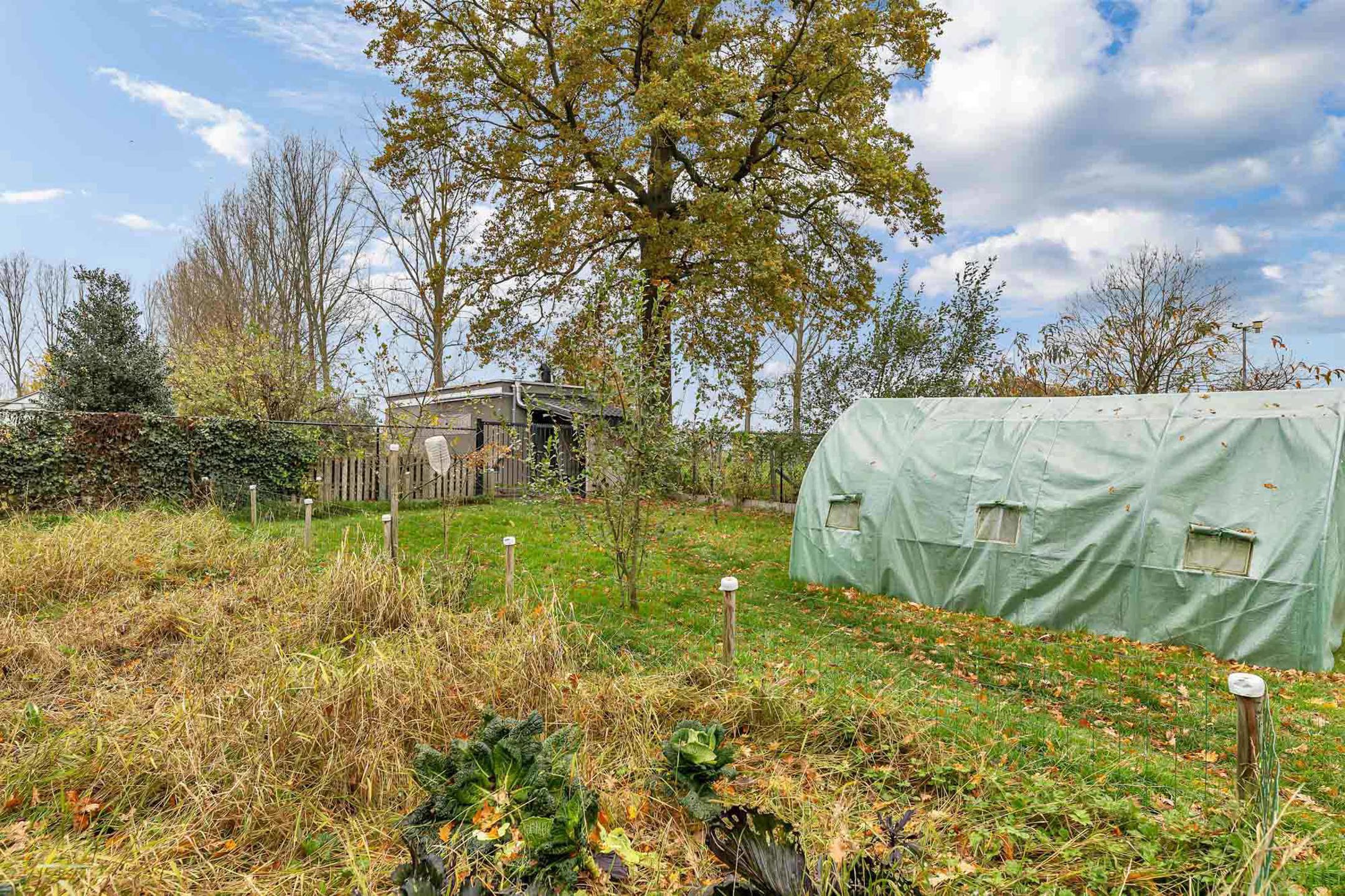 Projectgrond of totale renovatie met idyllisch uitzicht foto 24