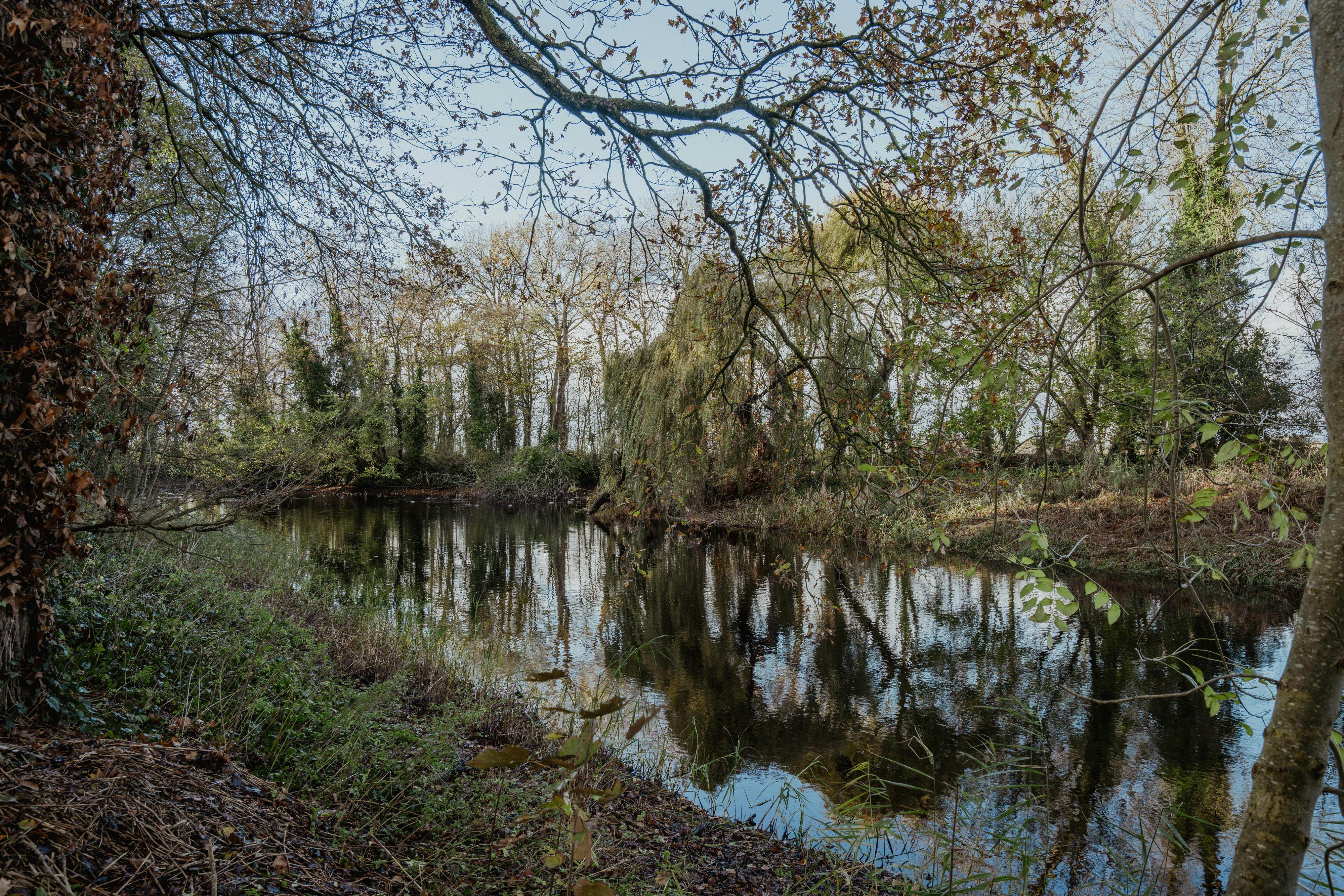 Majestueus wonen Kasteel Stoffelt te Watervliet foto 26