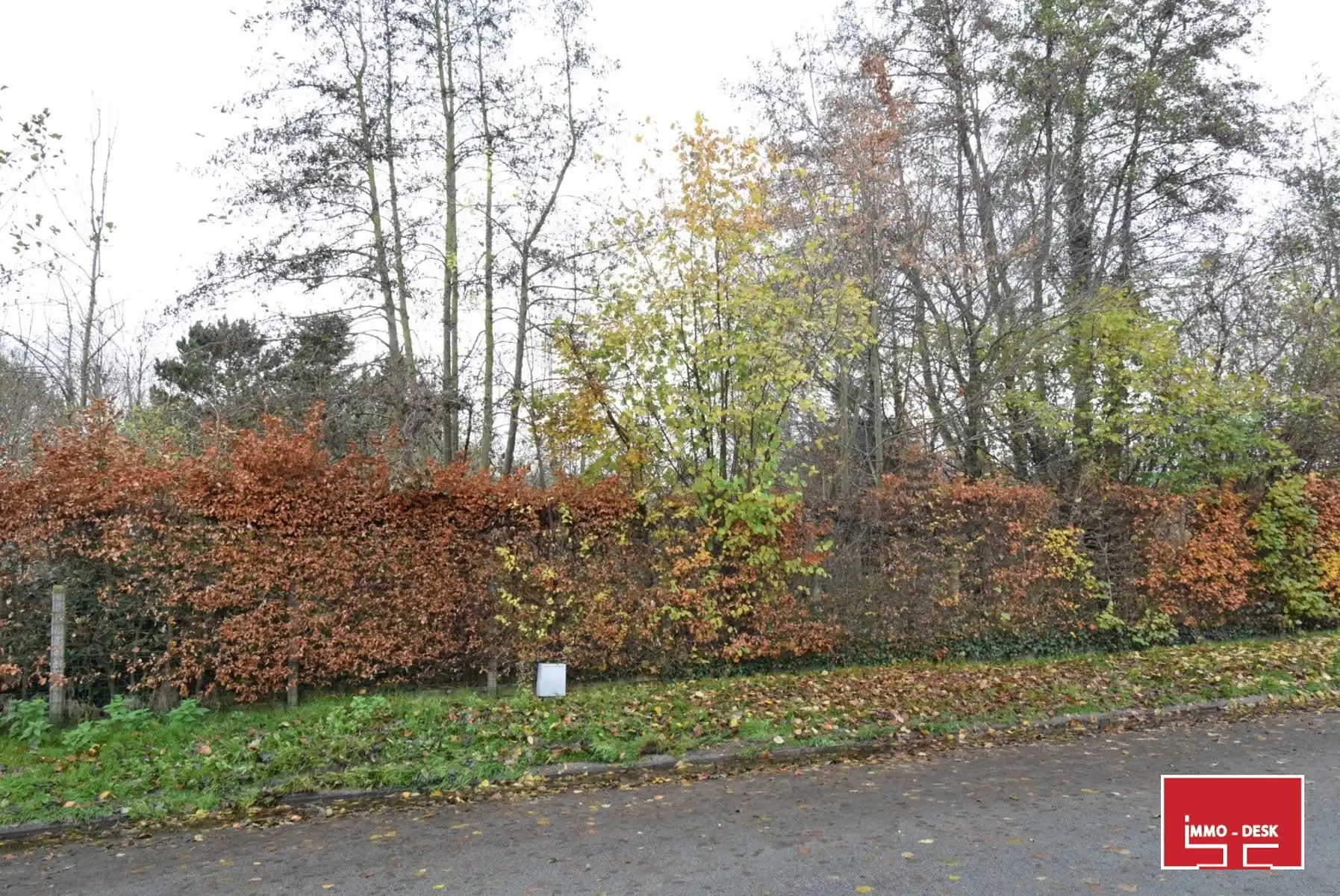 4 halfopen energiezuinige woningen in Denderleeuw foto 4