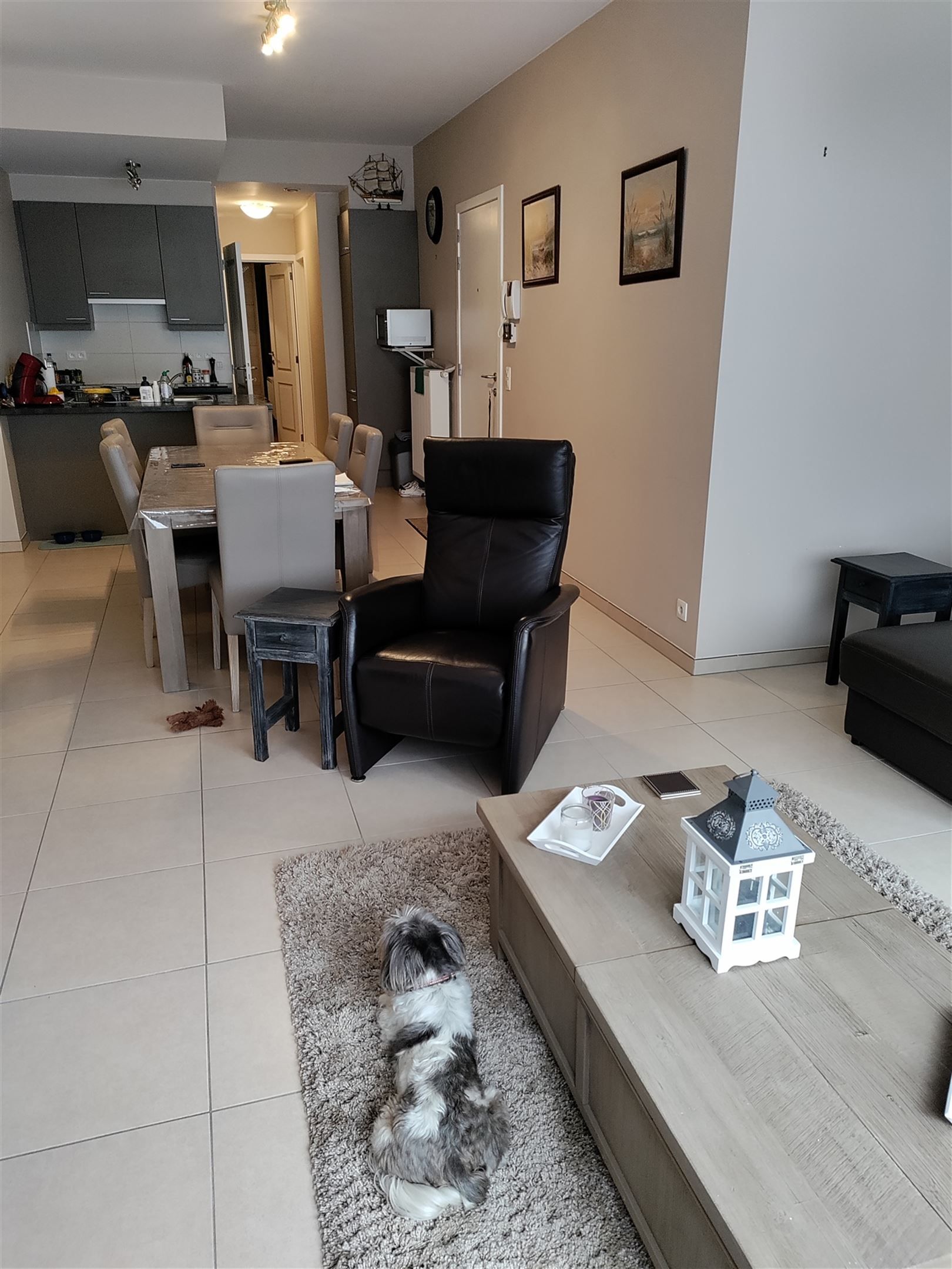 appartement foto 4