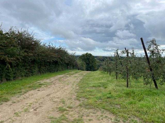 Boerderij te koop Oude Leuvensebaan - 3545 Loksbergen