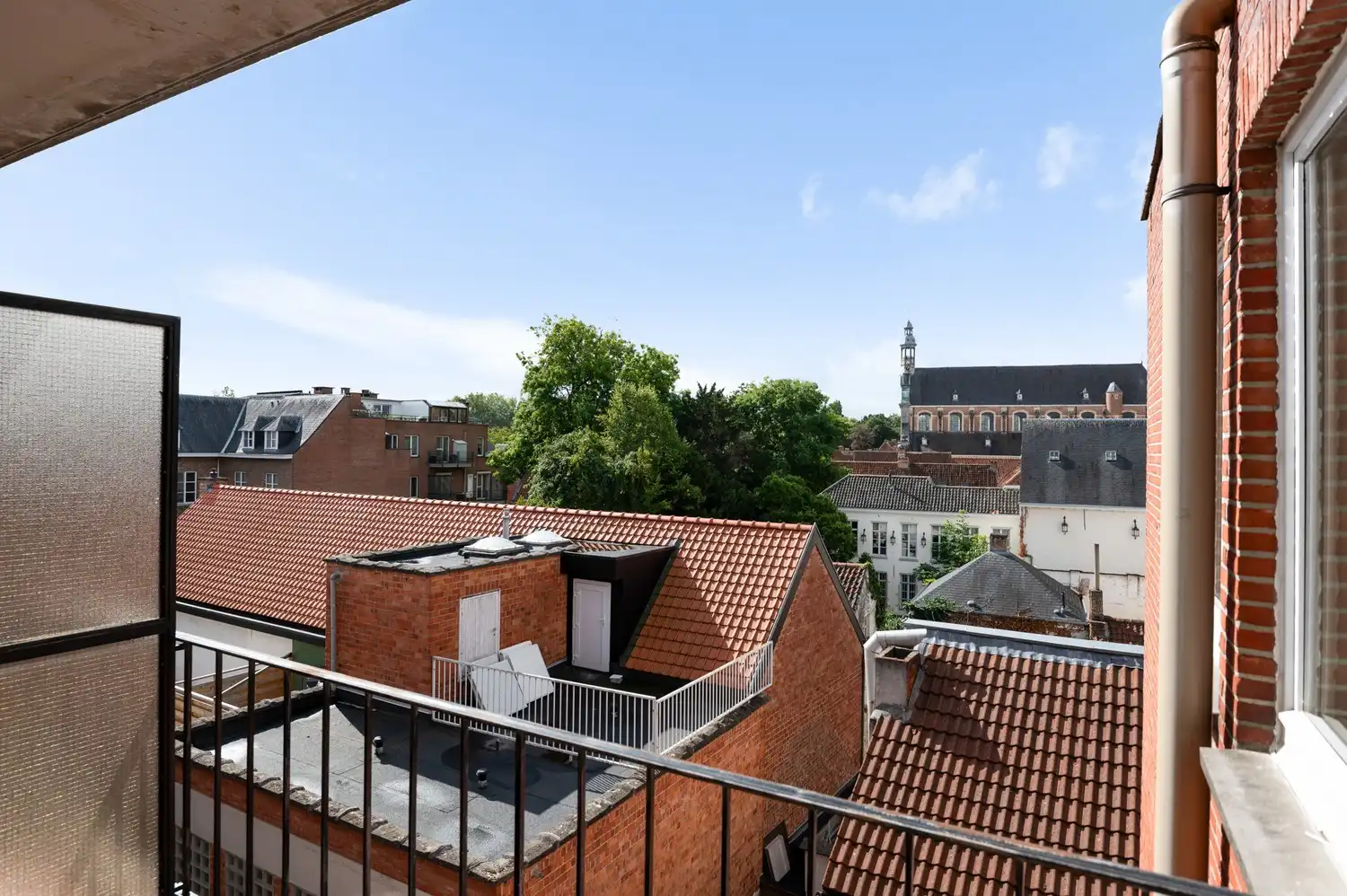 Lichtrijk, instapklaar dakappartement met 2 slaapkamers nabij het Zimmerplein in Lier! foto 12