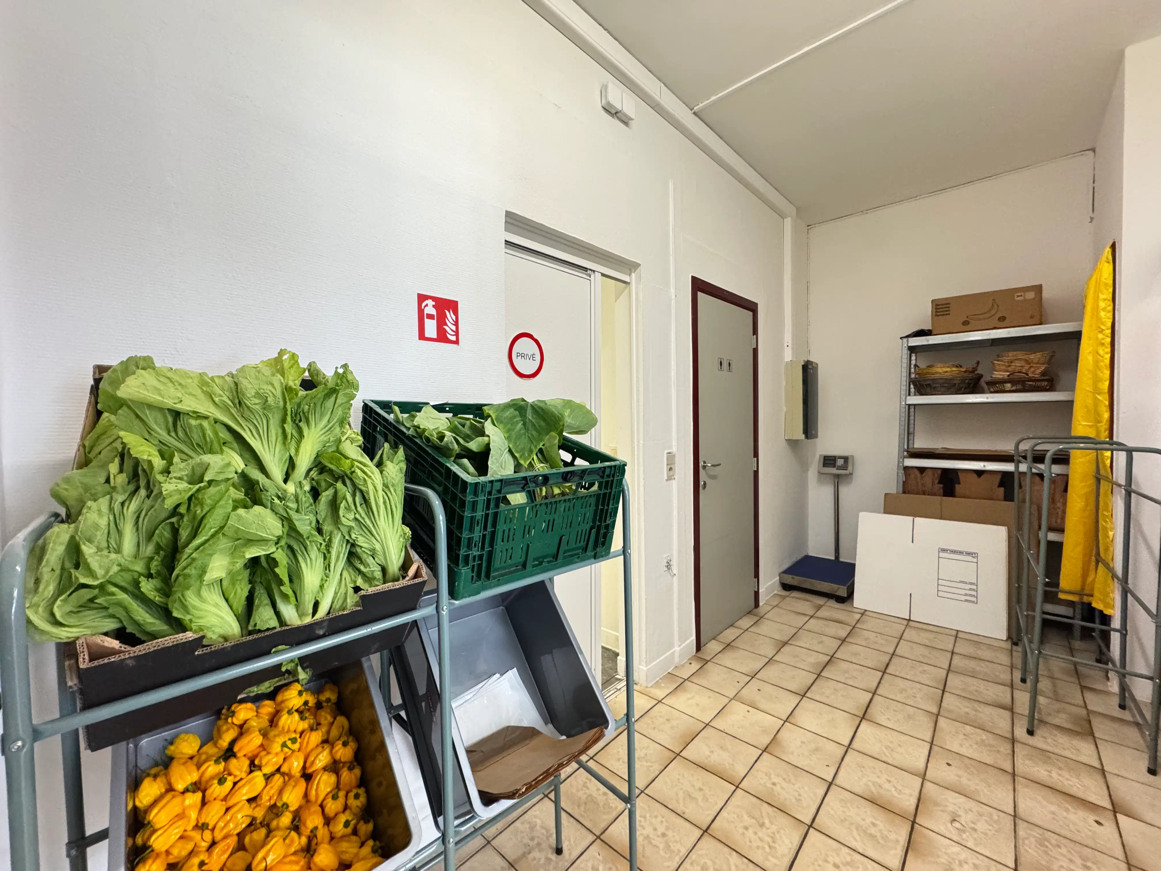 Handelsgelijkvloers 60m² aan drukke invalsweg Oostende foto 10