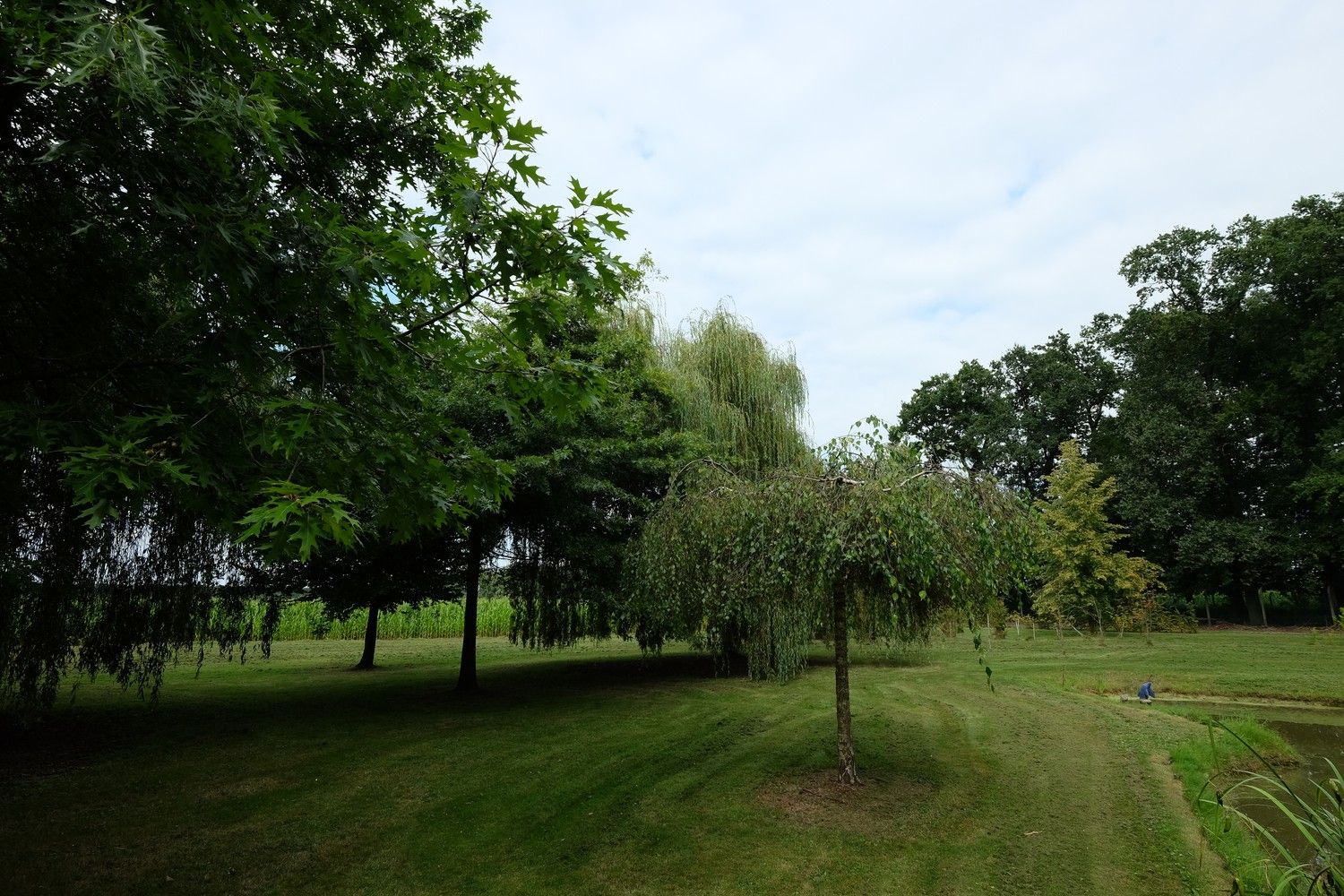 Uniek perceel met een charmante vakantiewoning midden in de natuur omgeven door een uitzonderlijke collectie van prachtige bomen. foto 27