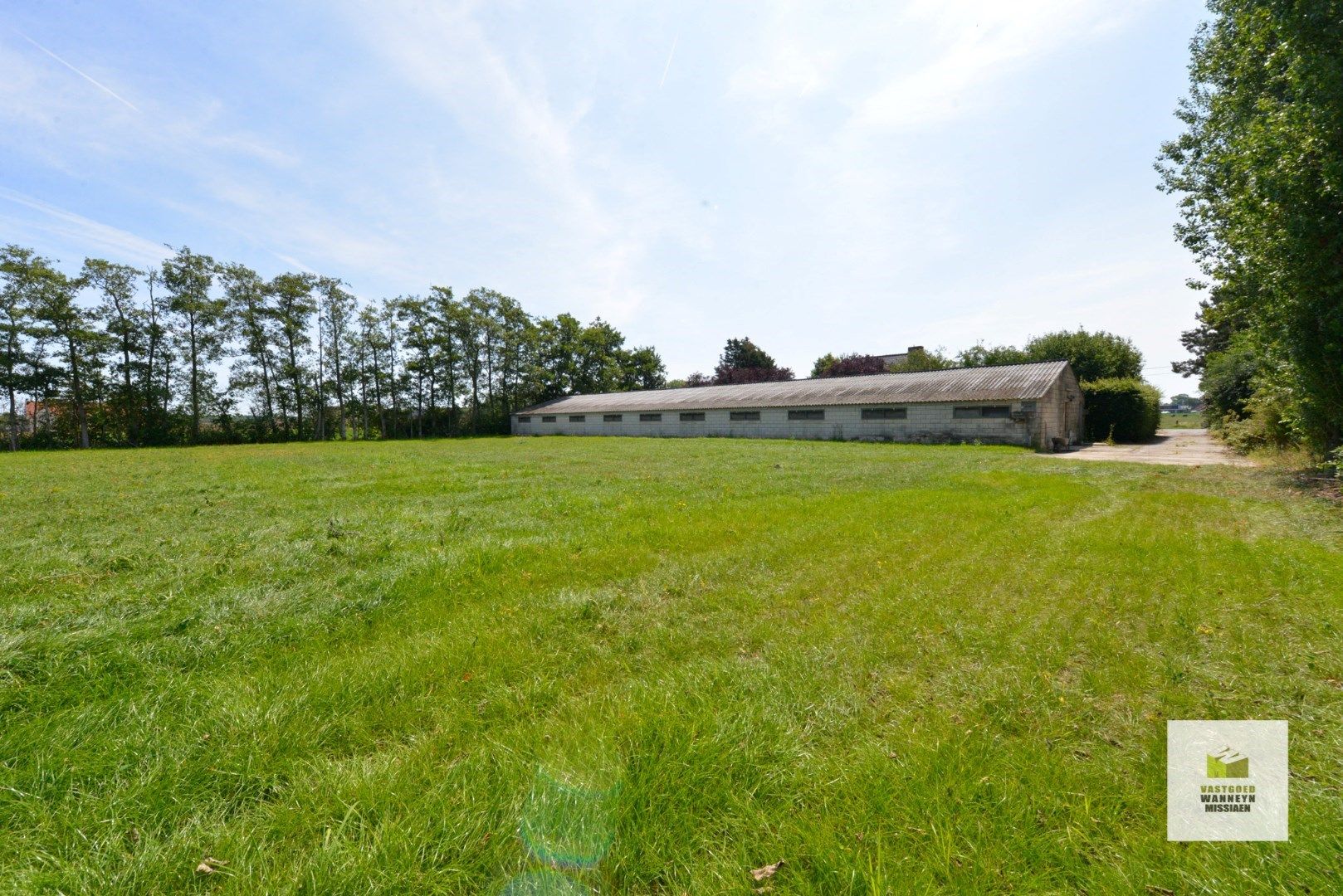 Villa met weide 3.500 m2 en akkerland van 1,4 Ha mét vergunning voor een nieuwe loods van 300 m2  foto 6