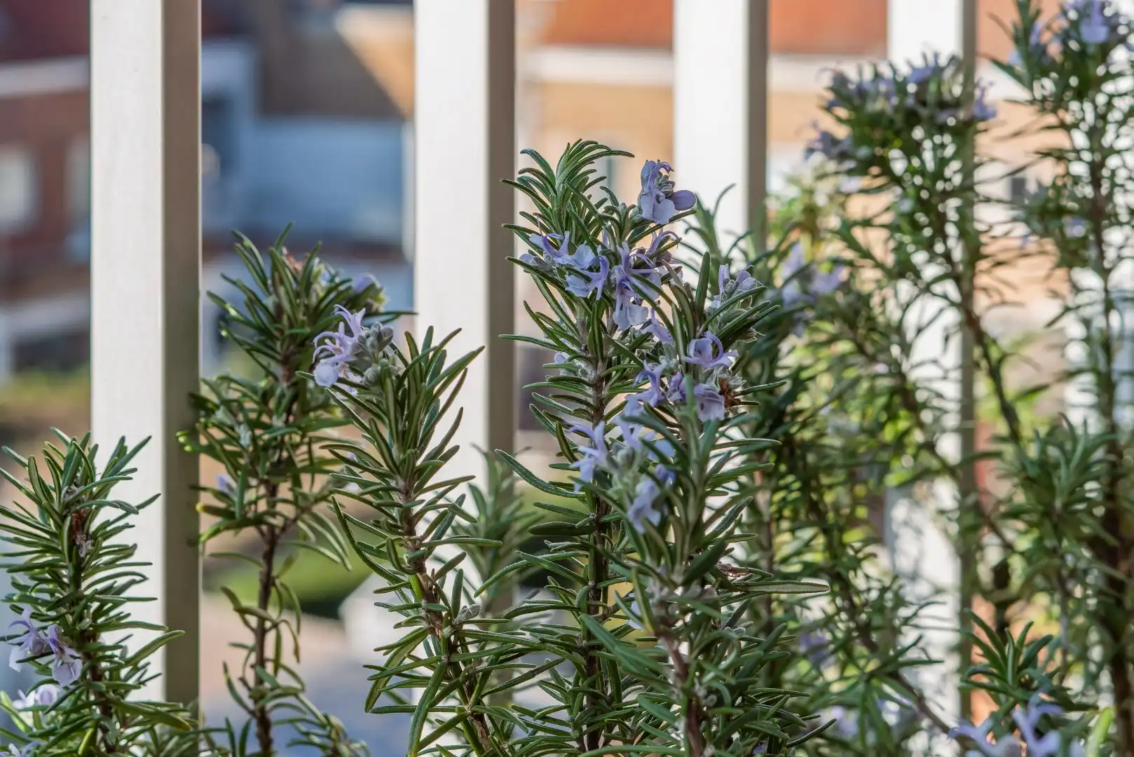 Verzorgd 2-slaapkamerappartement nabij de invalswegen! foto 15