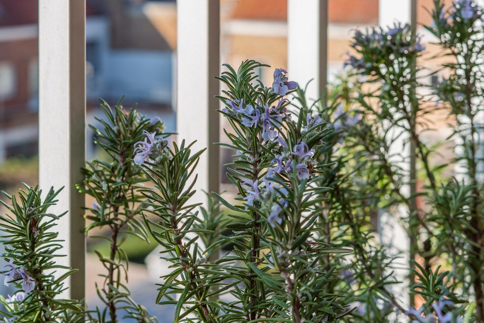 Verzorgd 2-slaapkamerappartement nabij de invalswegen! foto 15