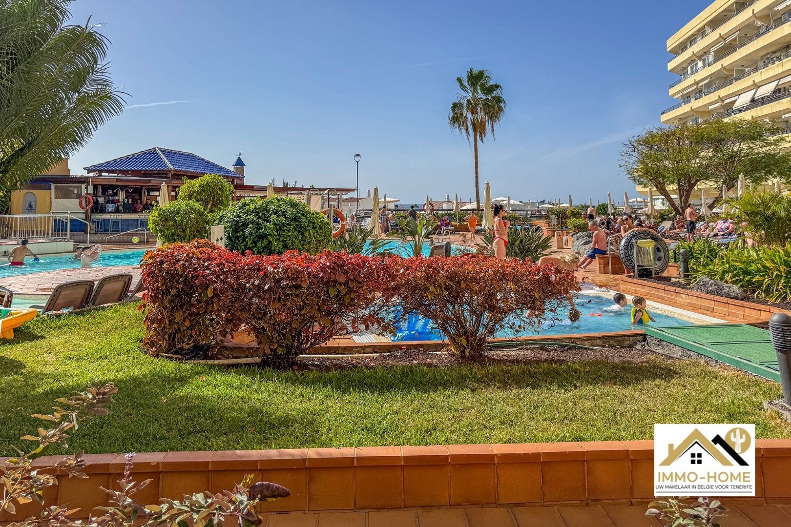 Zeer grote studio in Costa Adeje/Tenerife foto 10