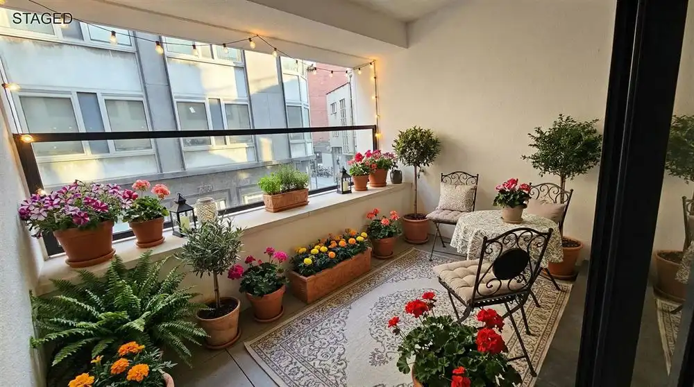  REEDS 85% VAN HET PROJECT VERHUURD! foto 2