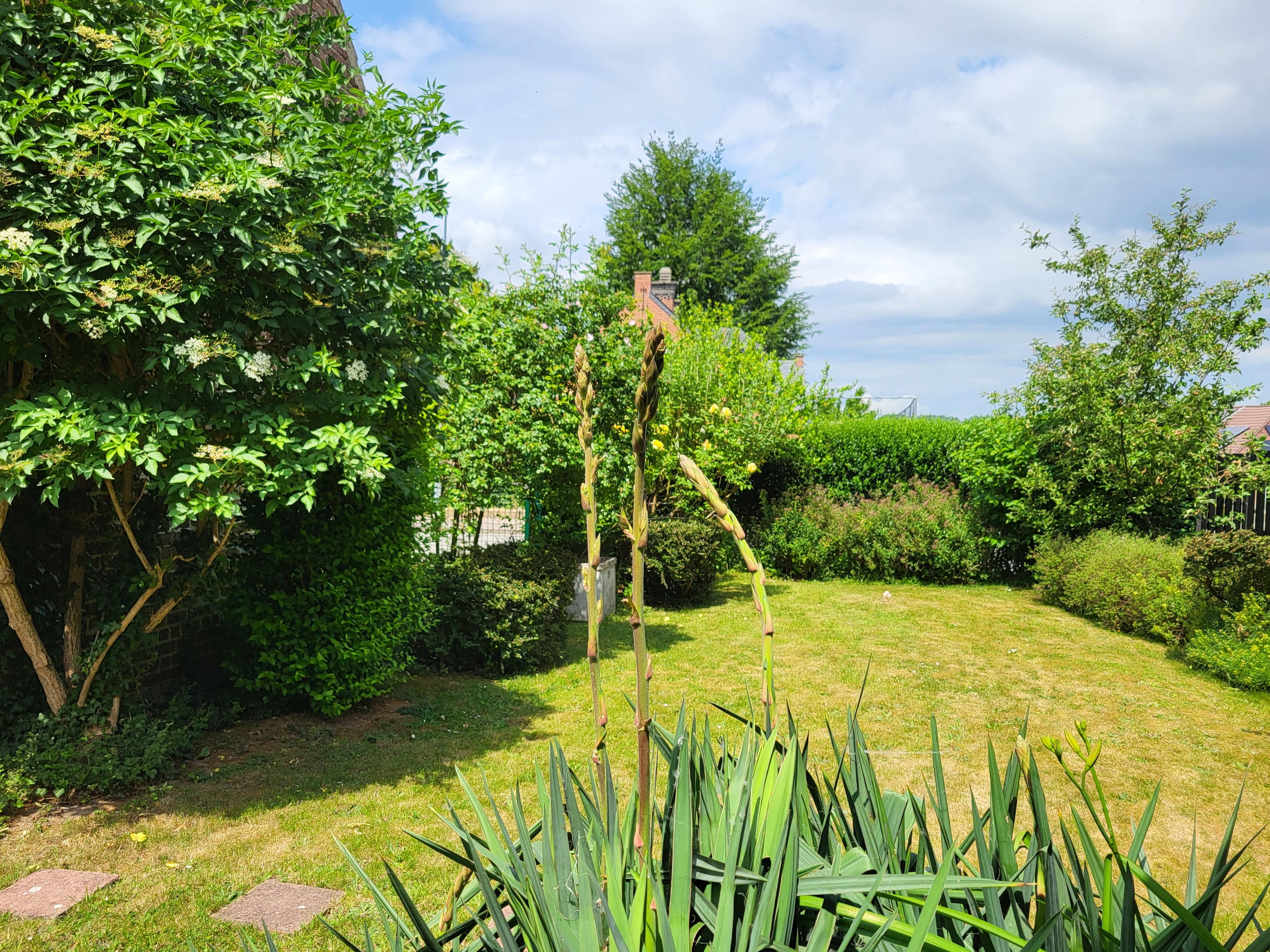 Charmante open bebouwing op 488m² met mooie aangelegde tuin.  foto 5
